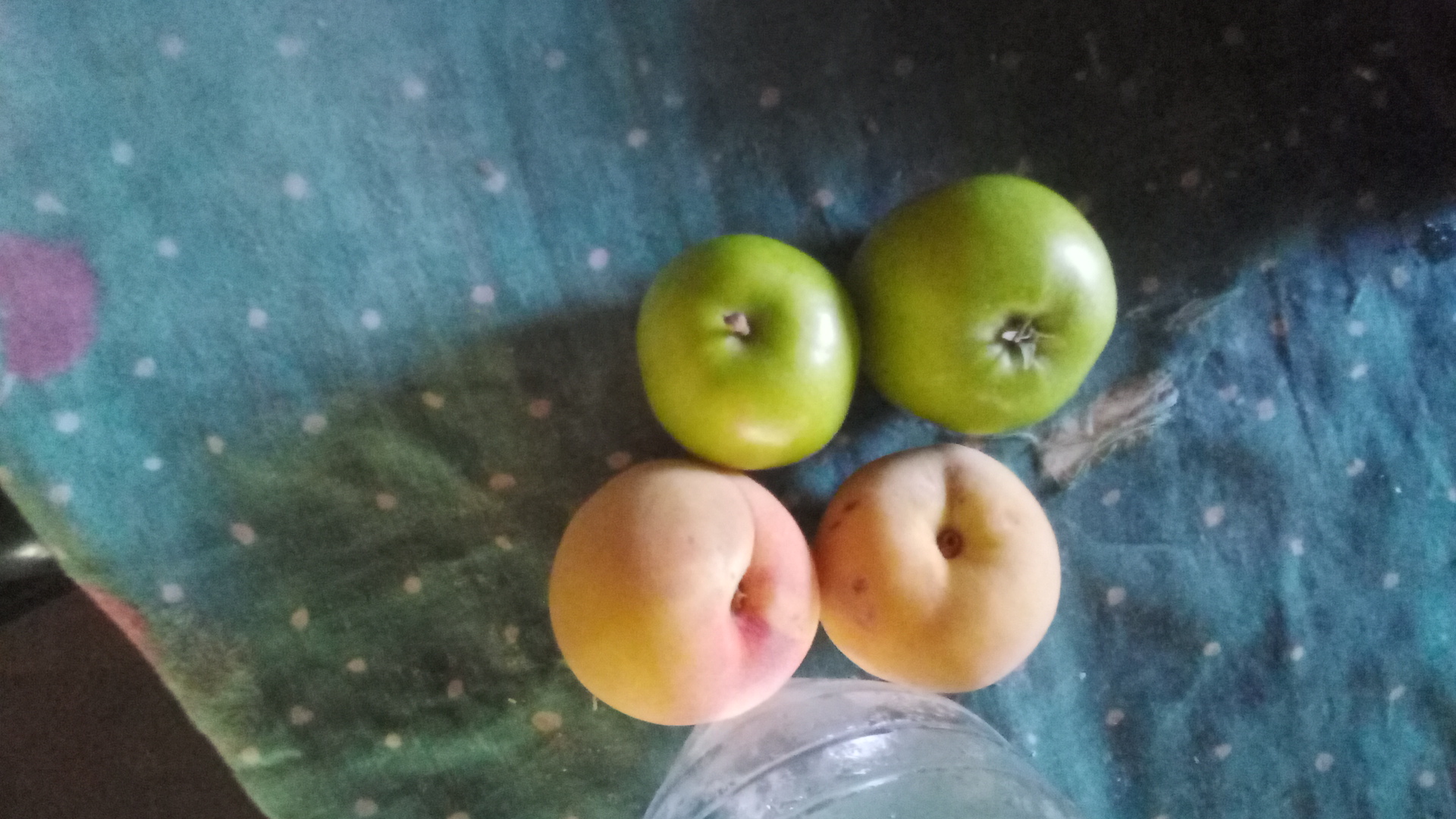 IMG-20210602-WA0020.jpeg