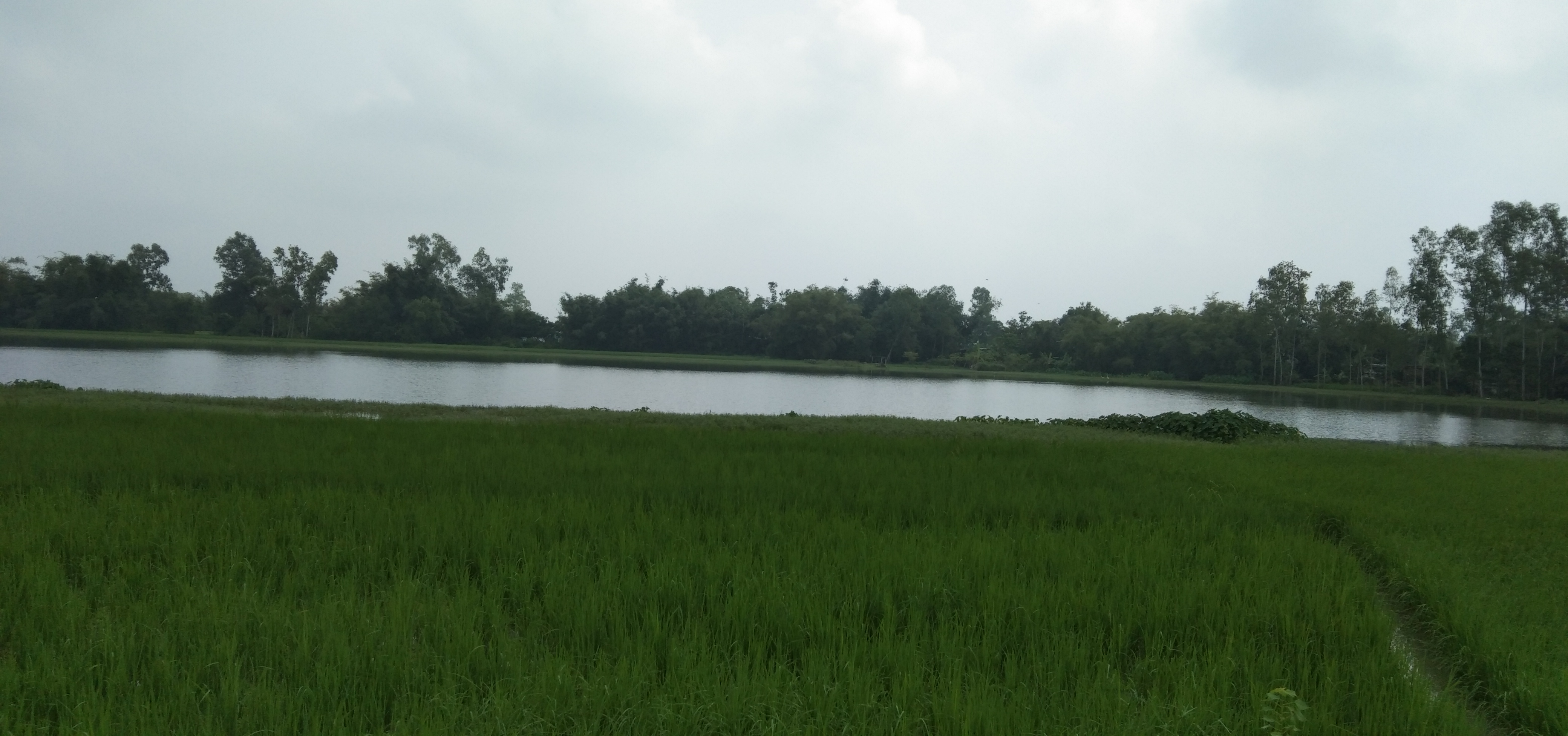 IMG_20200928_103425.jpg