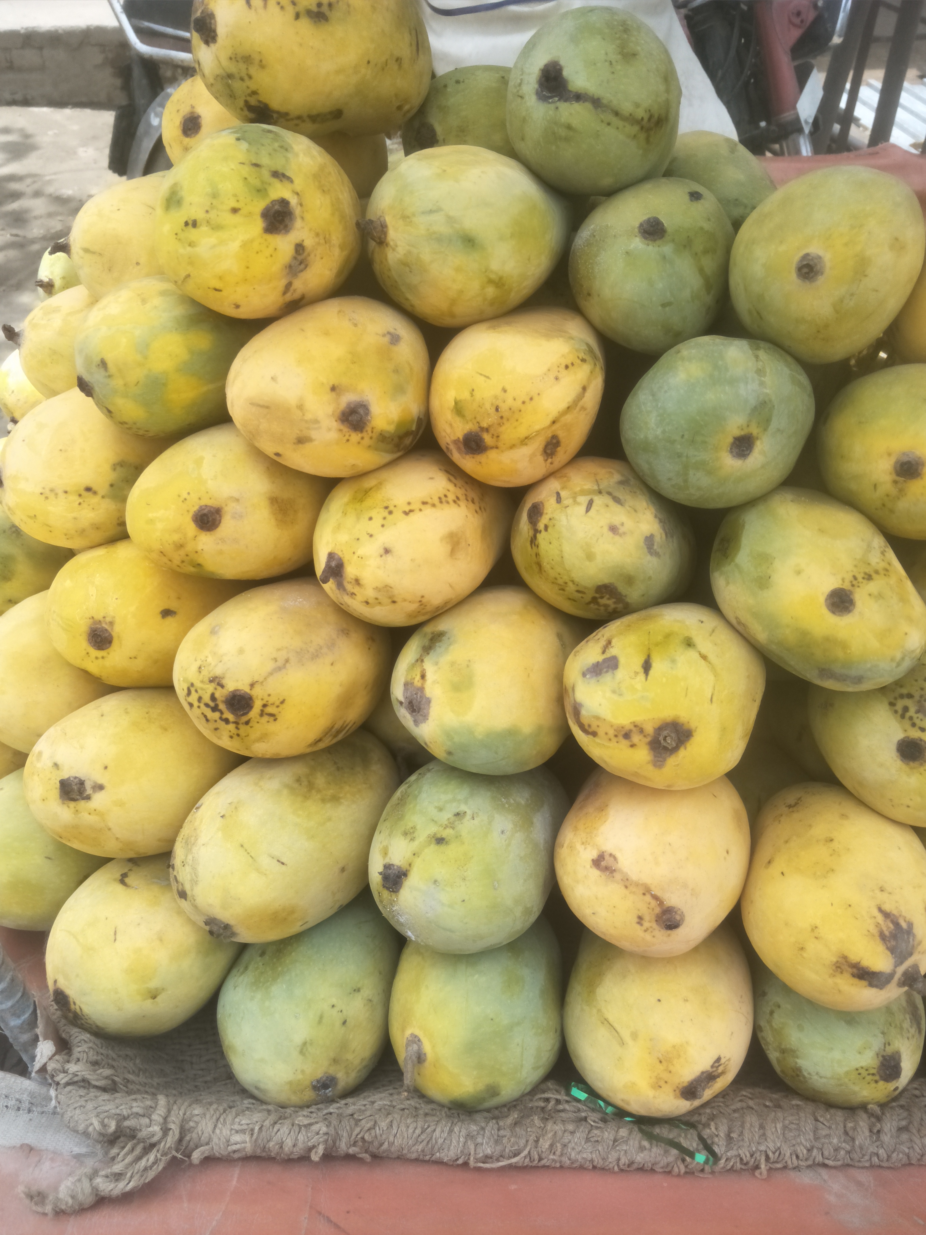 Banana is very tasty to eat and very soft and very good. It tastes very sweet. People come home and drink it by making a banana shake. Is.(https://cdn.steemitimages.com/DQmcsW75HcTyjwcHCHc8jy7LvCJsWhncVE2T2d1FVgkicMN/IMG20210629115054.jpg) This one I have shared with you a picture of a very beautiful and good aloo bukhara. Right now I have gone to the bazaar and my heart and bukhara are very tasty, very fast. They make this sauce in a very tasty meal and people eat it with food. It is very tasty. Its trees are found in large quantities in our area and it is the best selling fruit in our area and The most expensive fruit is potato ![IMG20210624123047.jpg