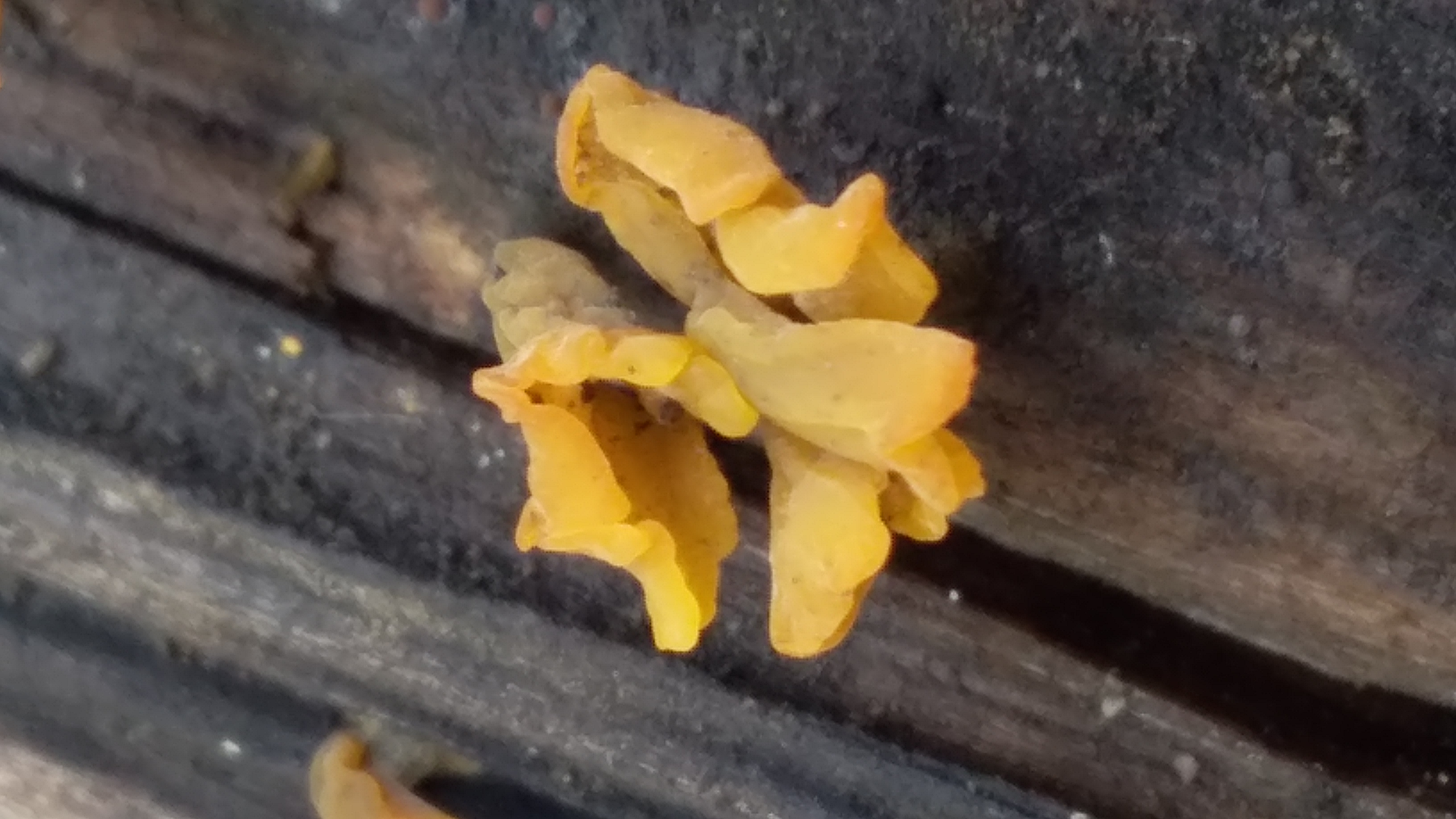 20220216_130022.jpg