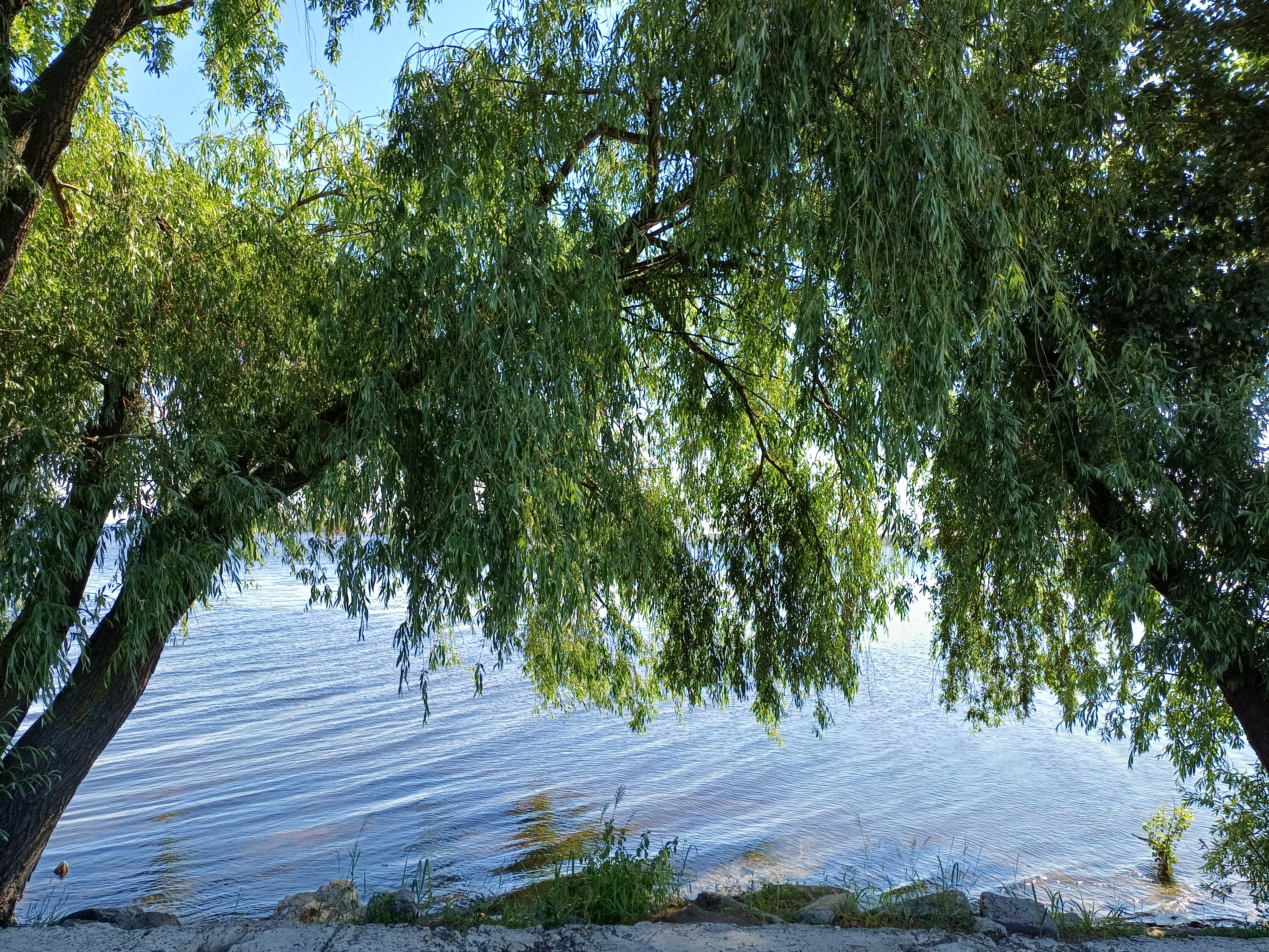 20260609_095148.jpg