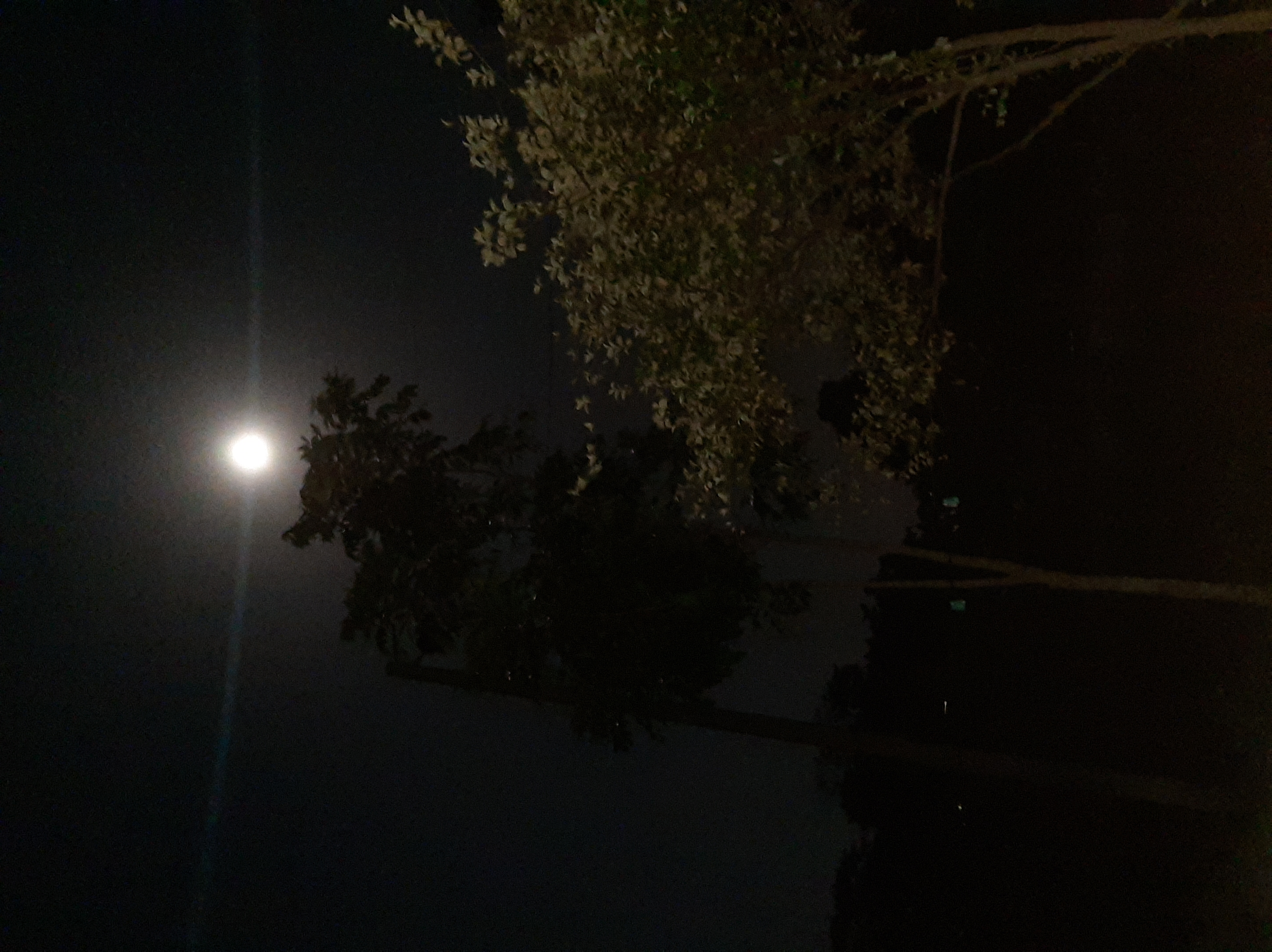 20210526_220206.jpg