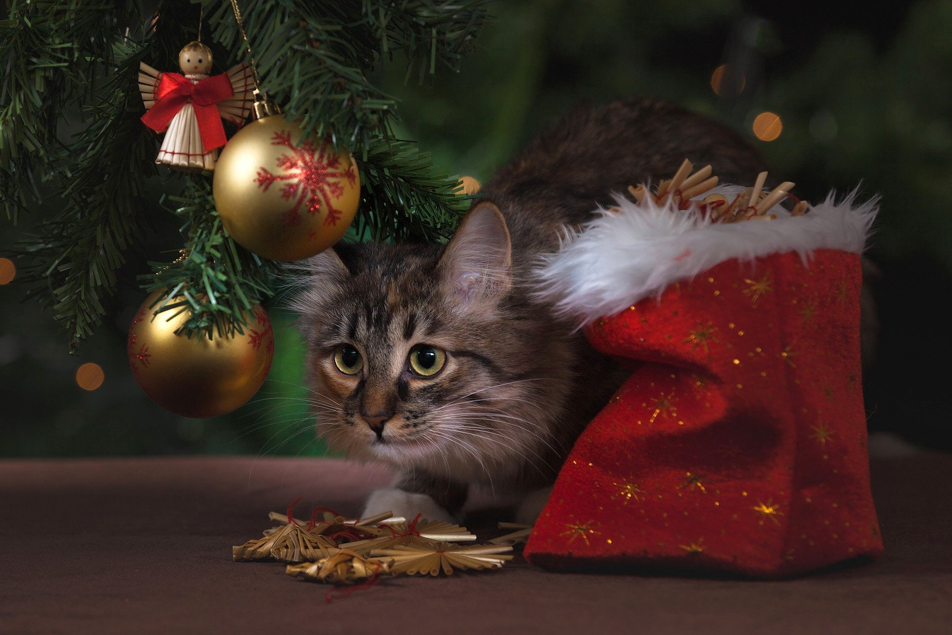 new-years-eve-1822984_1920.jpg