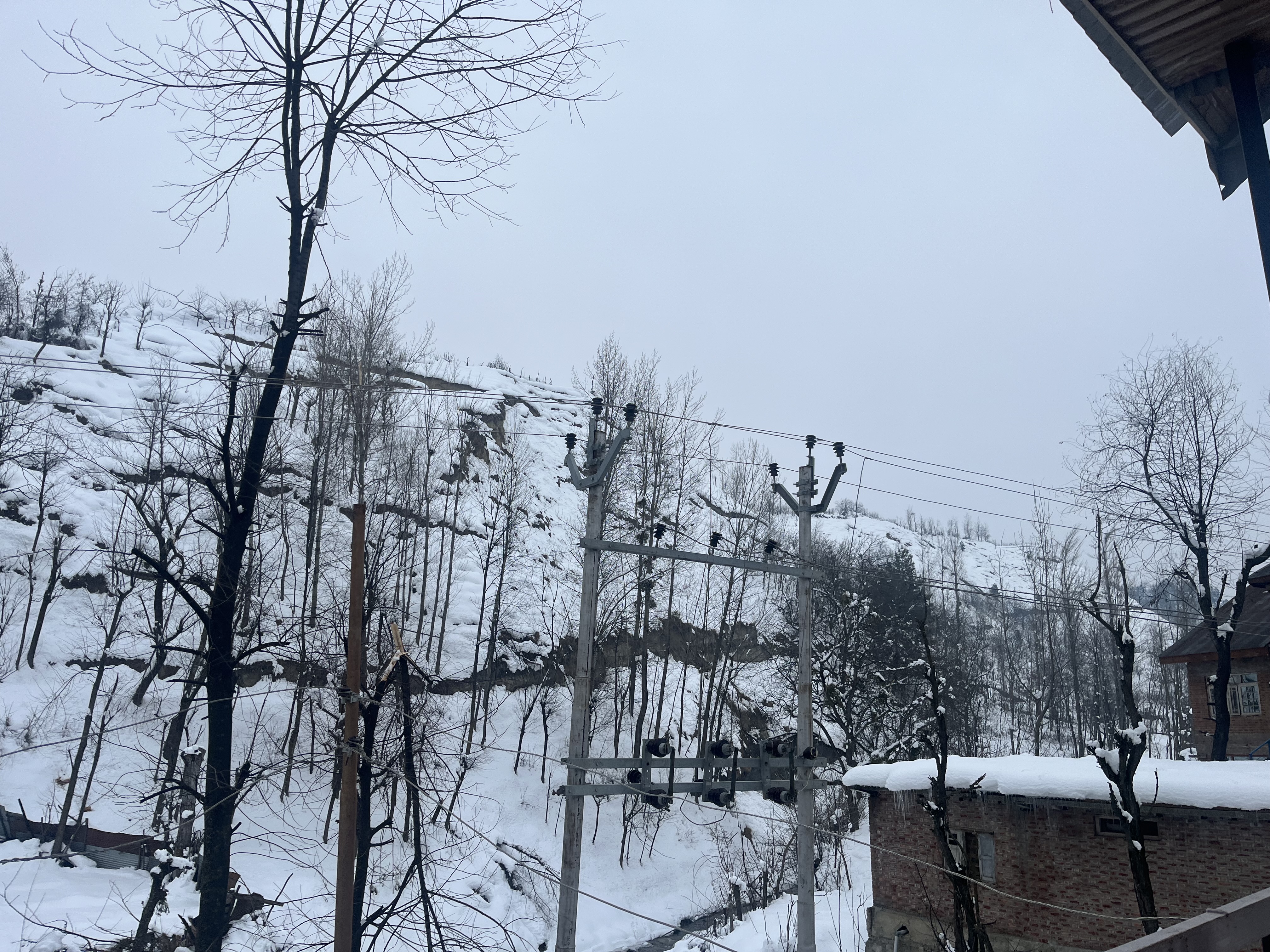 IMG_7158.jpeg