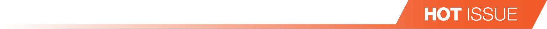hot_issue.png