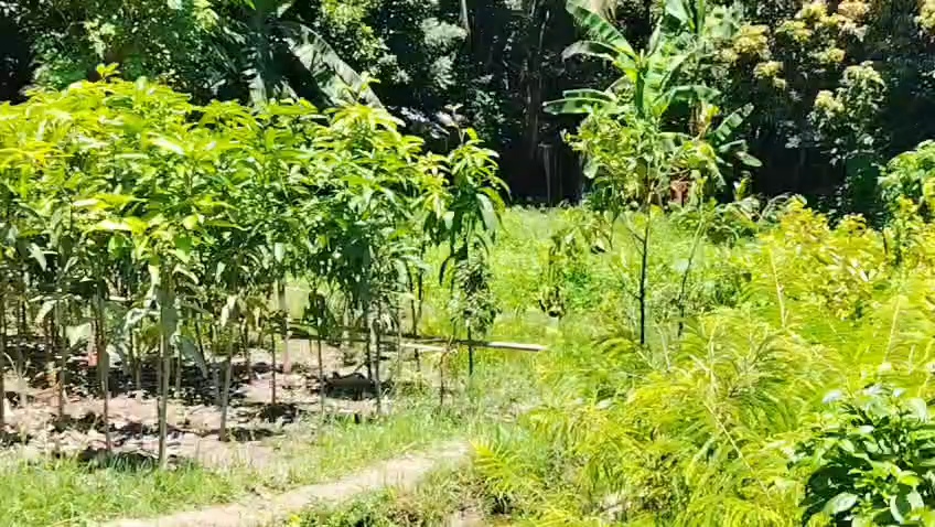 VideoCapture_20260816-181315.jpg
