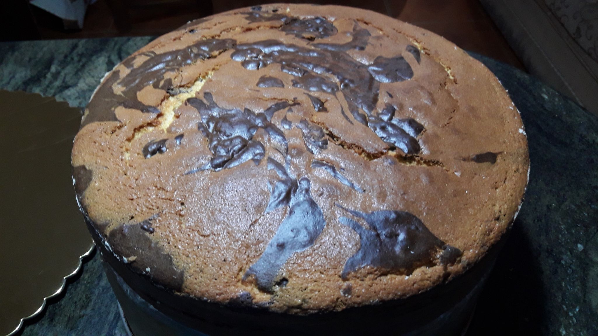 TORTA MARMOLEADA DIARIO.jpg