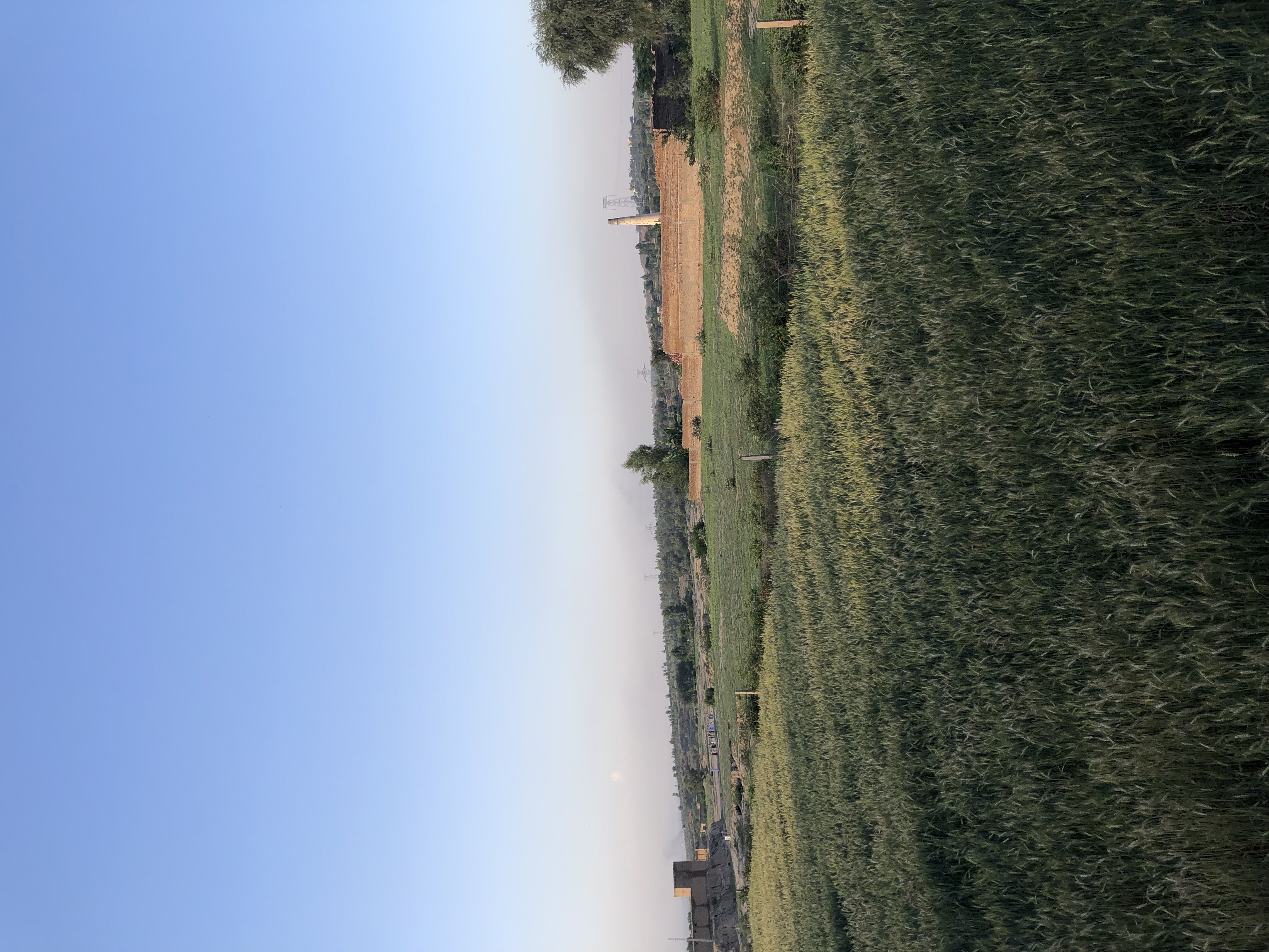 IMG_7764.jpeg
