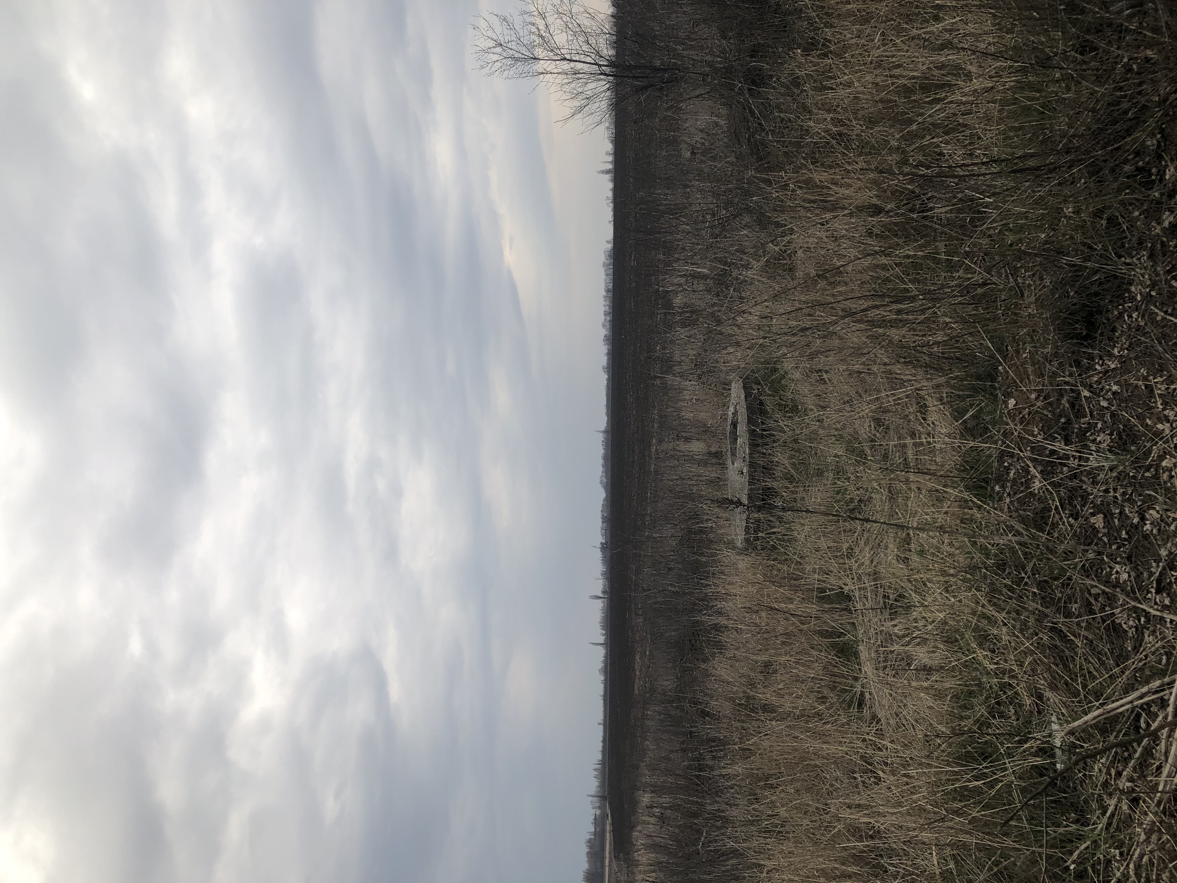 550E3626-6985-4A99-A97D-F31A7AFE0A22.jpeg