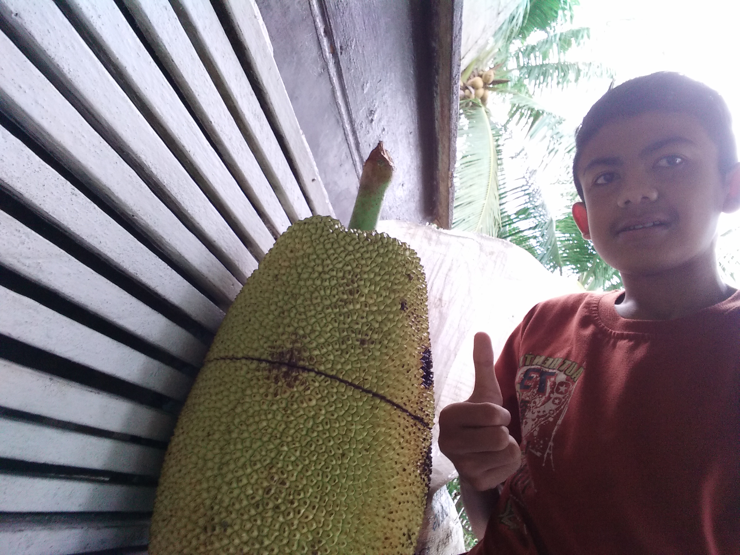 IMG20180711065117.jpg