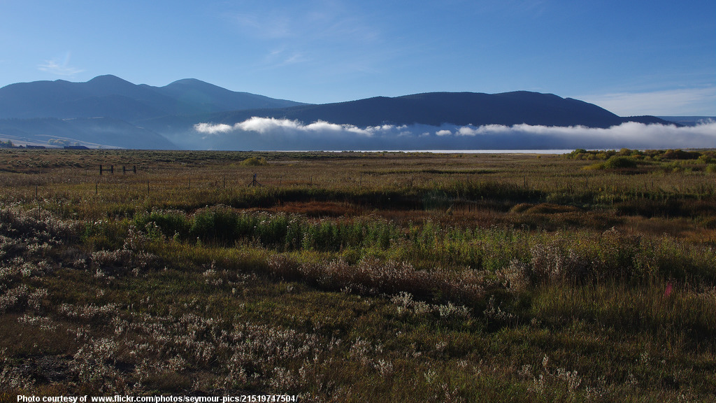 NMGrasslandsEagleNest-071518.jpg