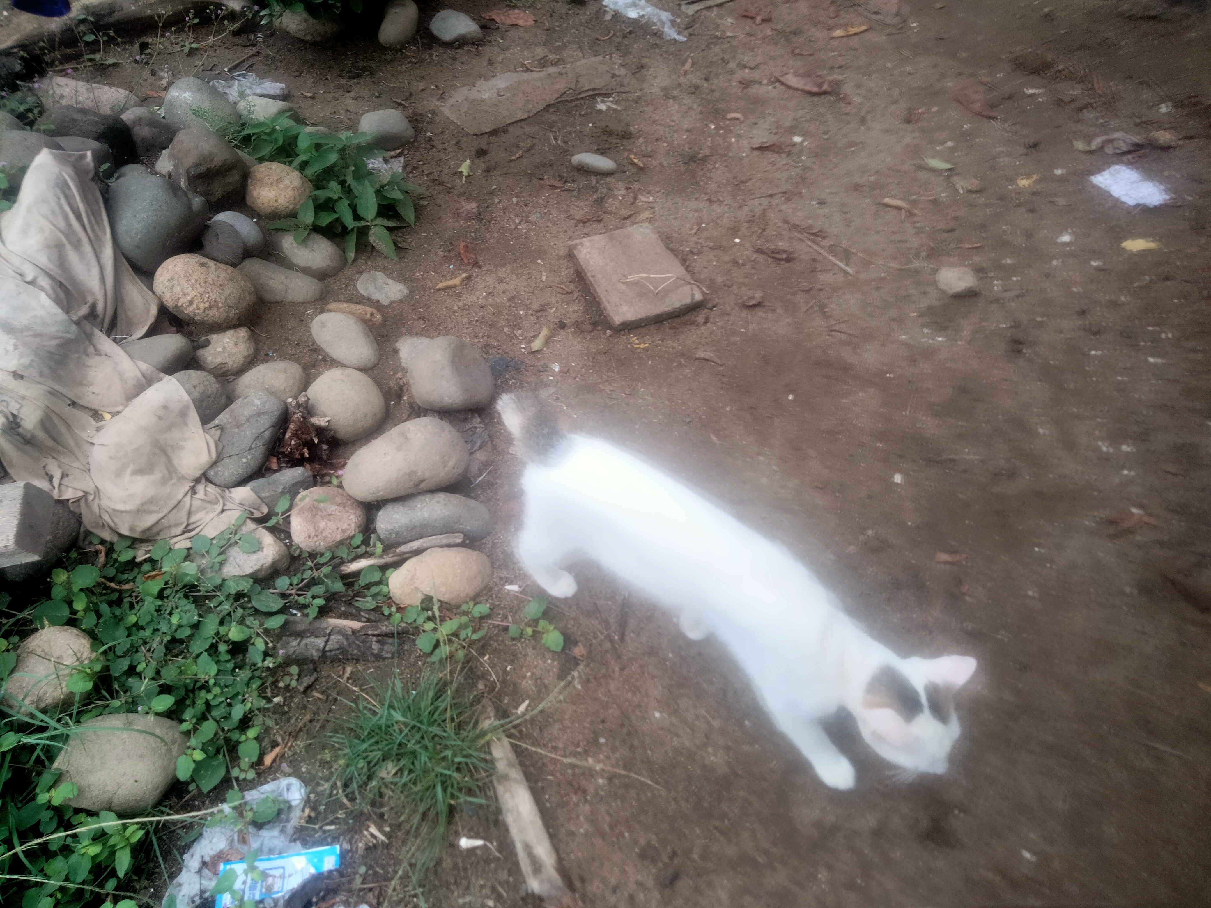 IMG20260514104327.jpg