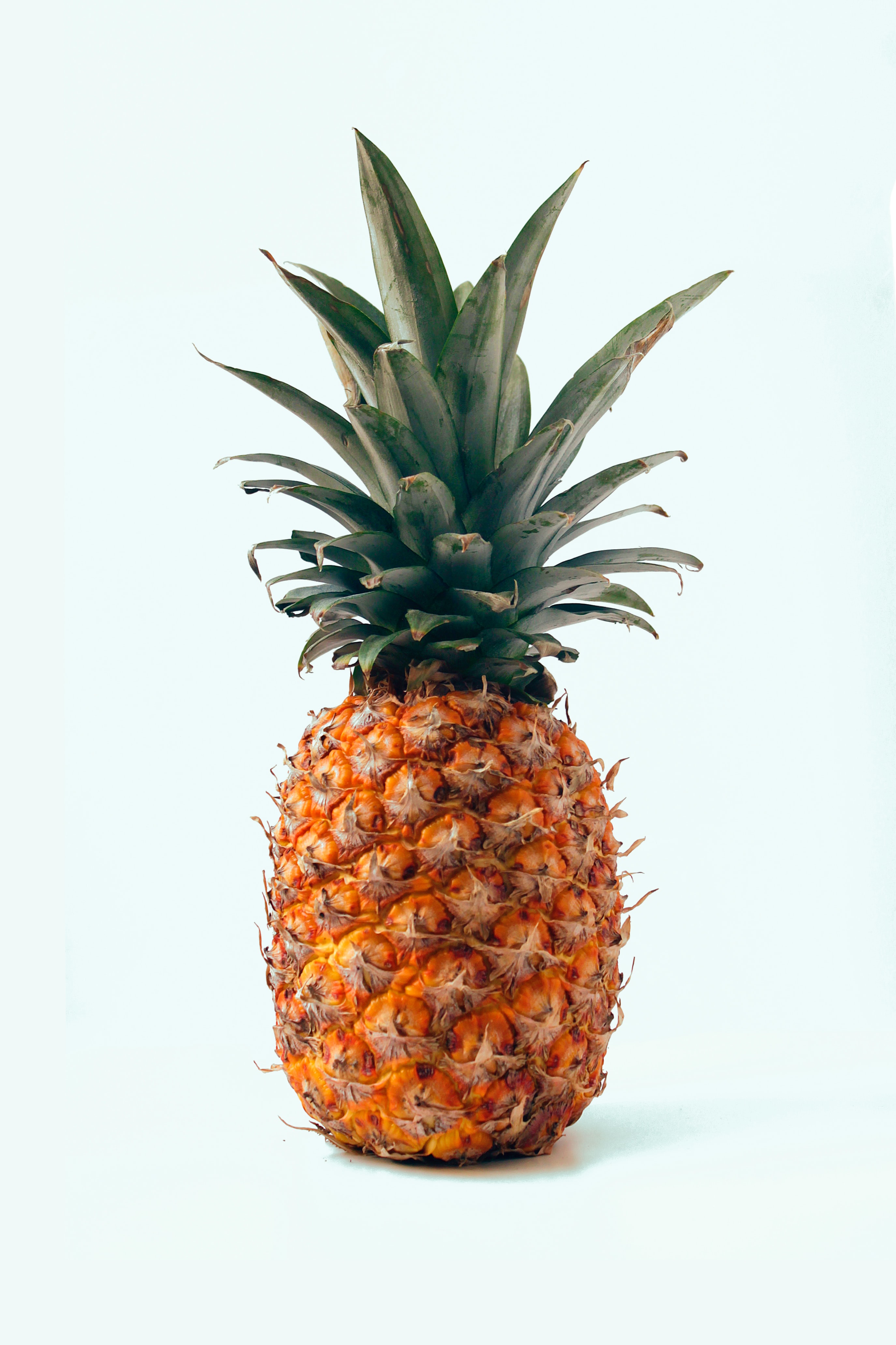 fernando-andrade-nAOZCYcLND8-unsplash.jpg