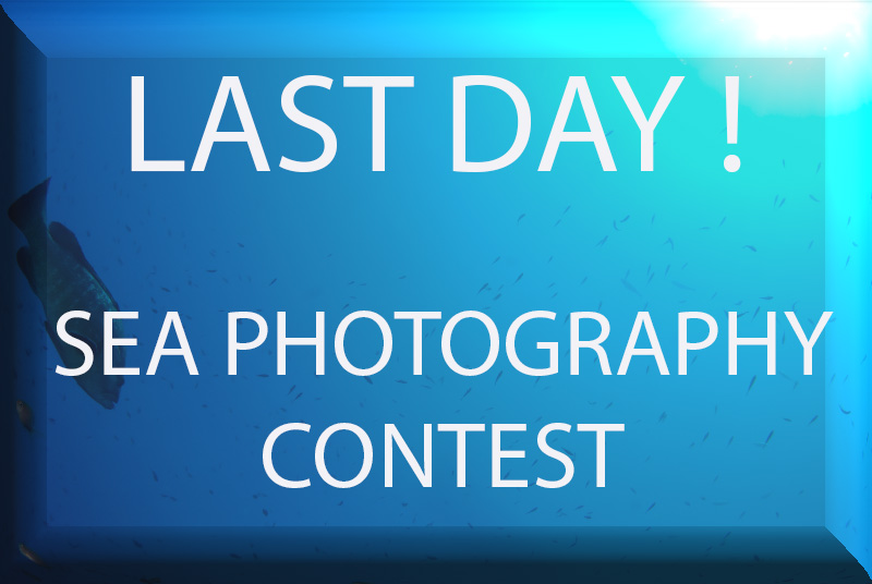 photo contest last day.jpg