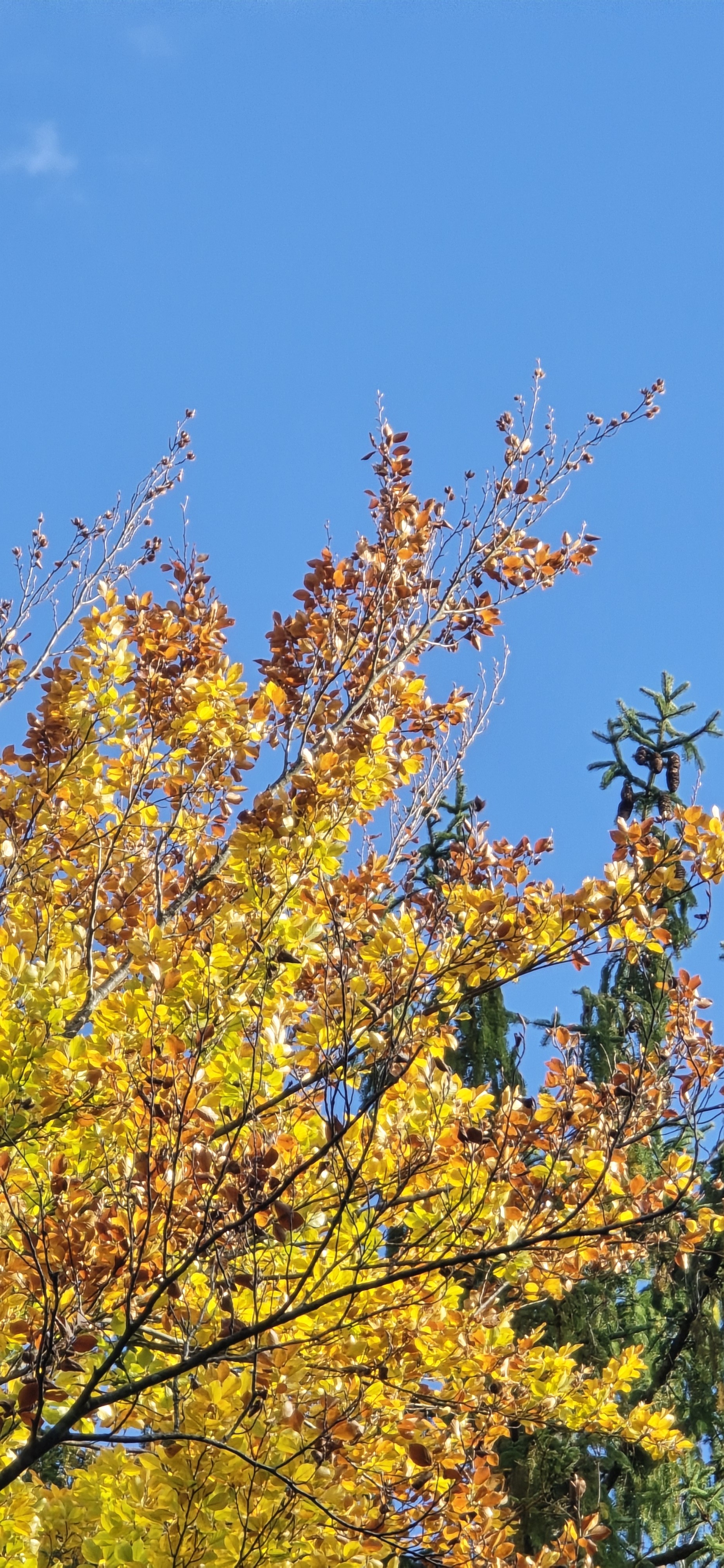 20251009_154339.jpg