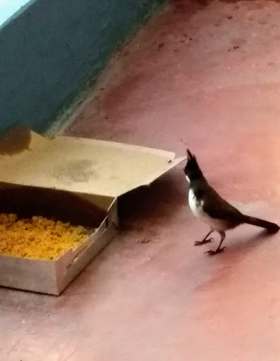 6296528503685988524 (1).jpg