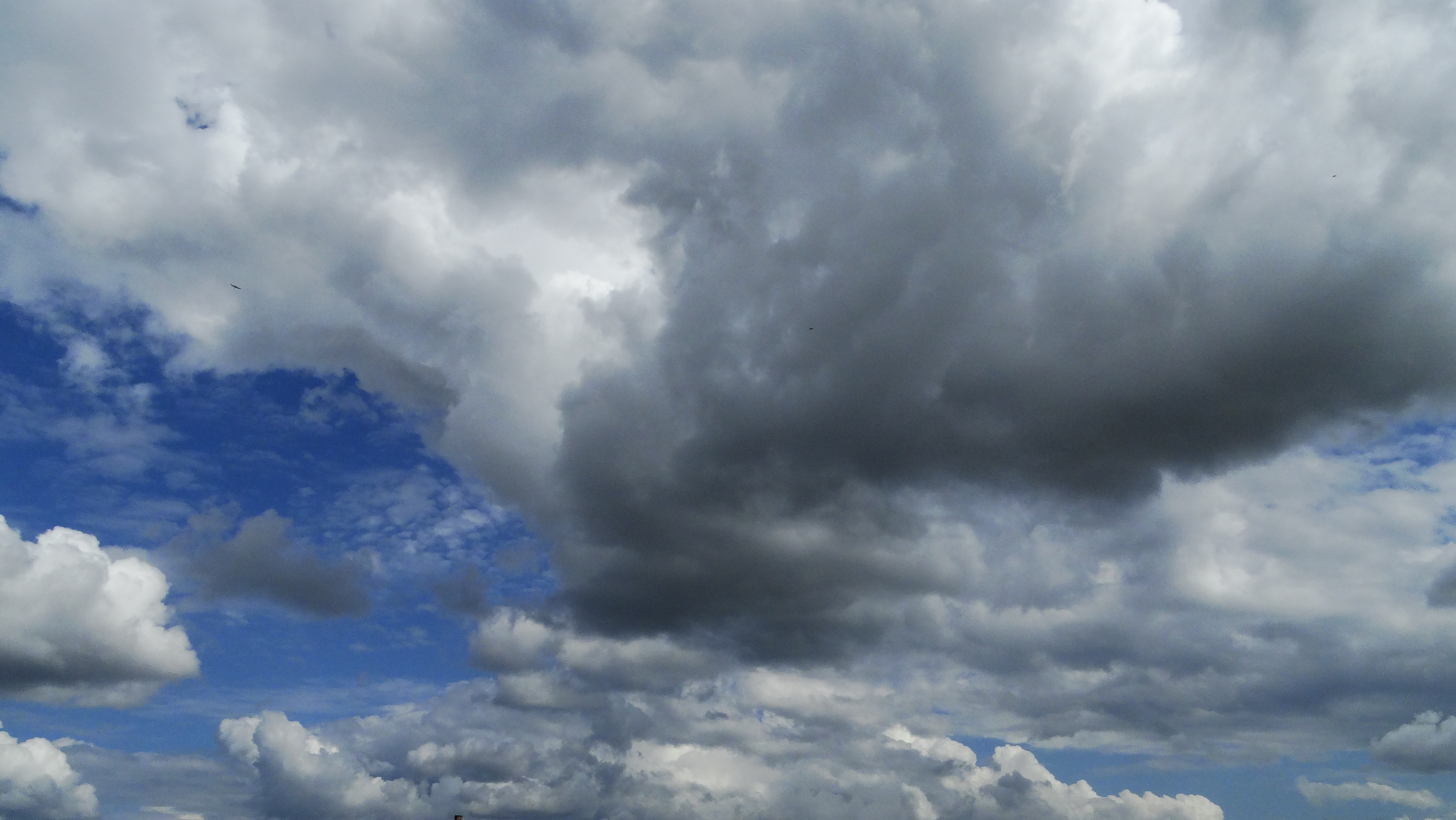 DSC09014.JPG