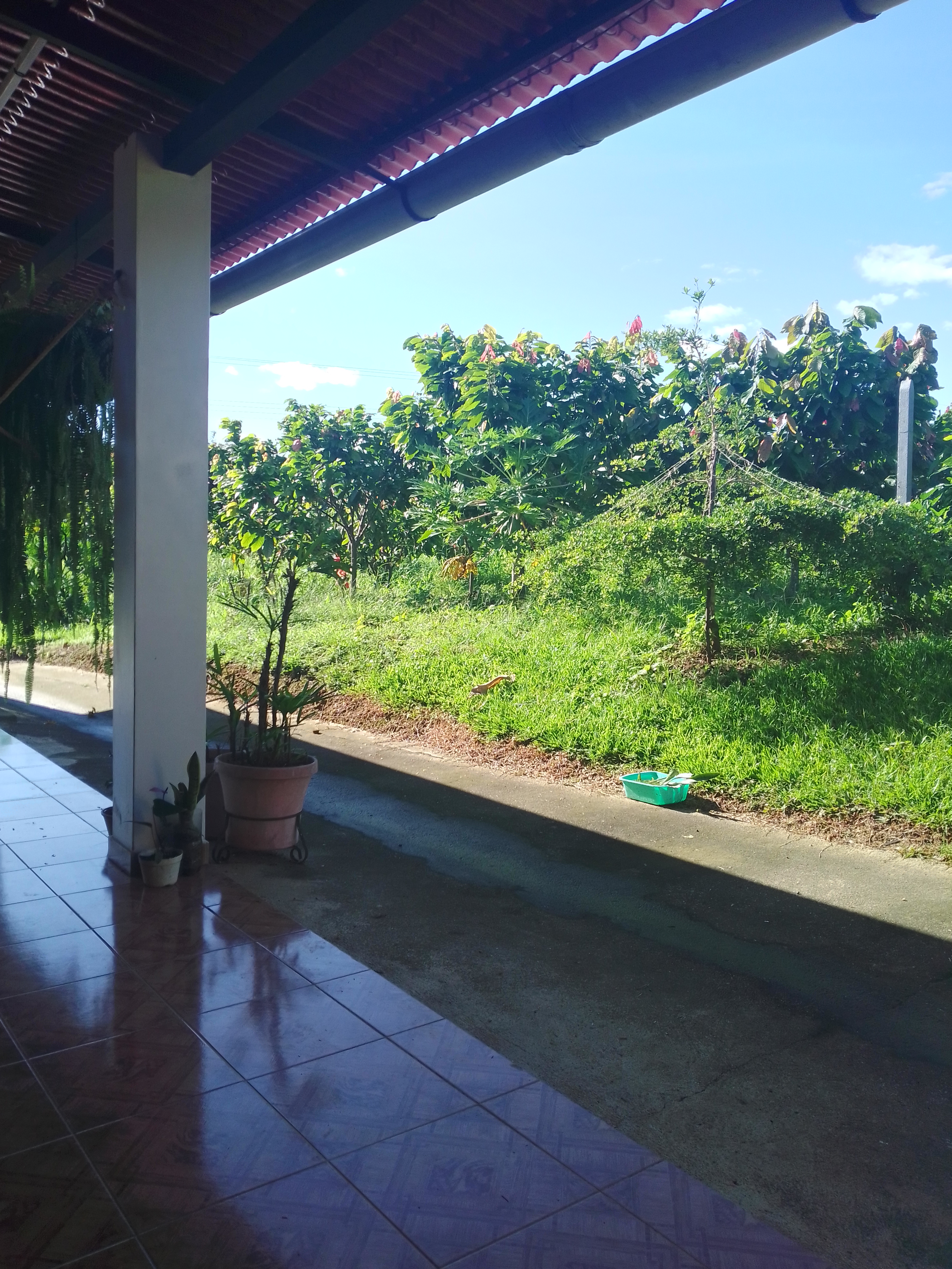 IMG_20210705_084920_HDR.jpg