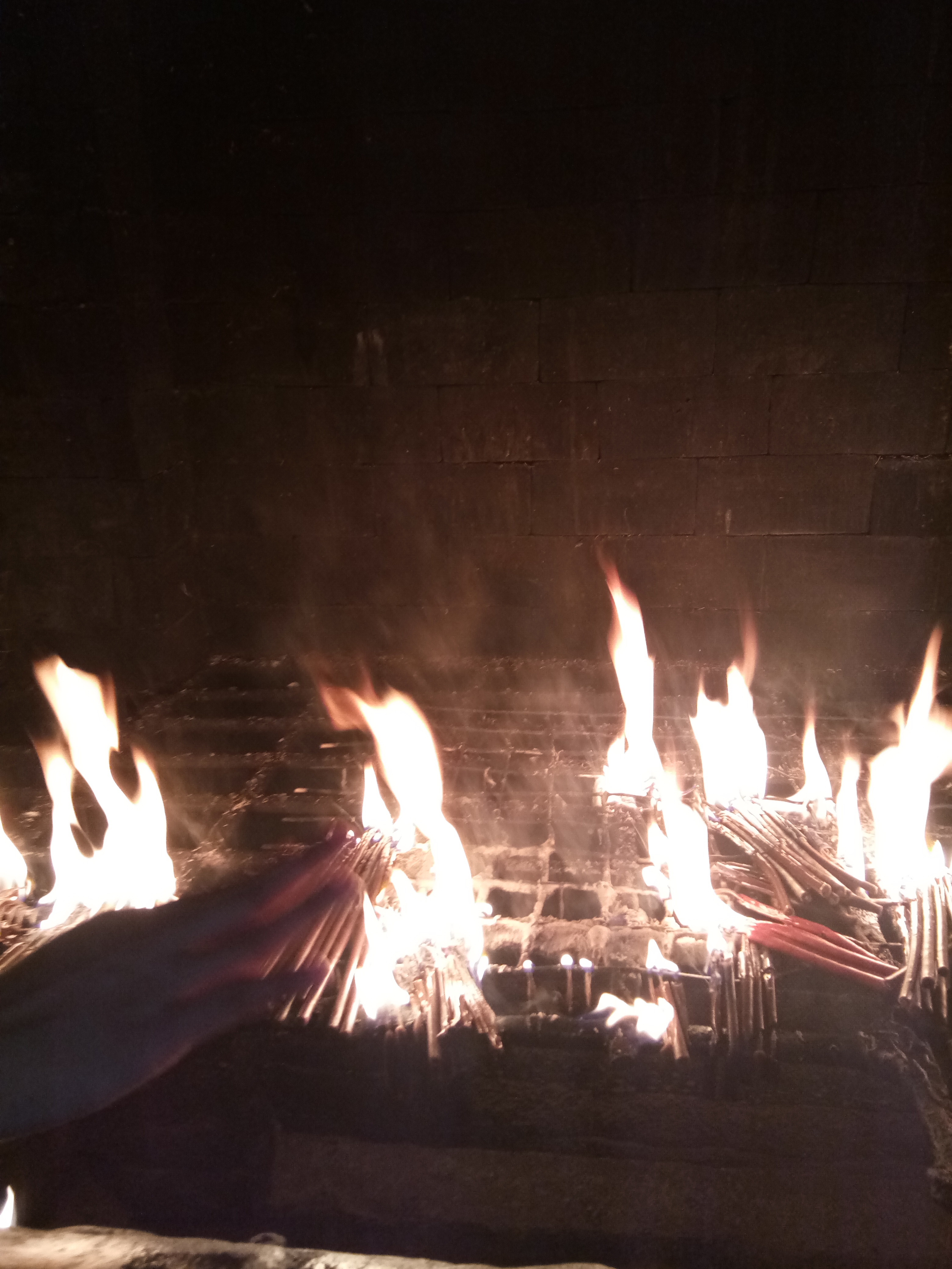 IMG_20211016_114443.jpg