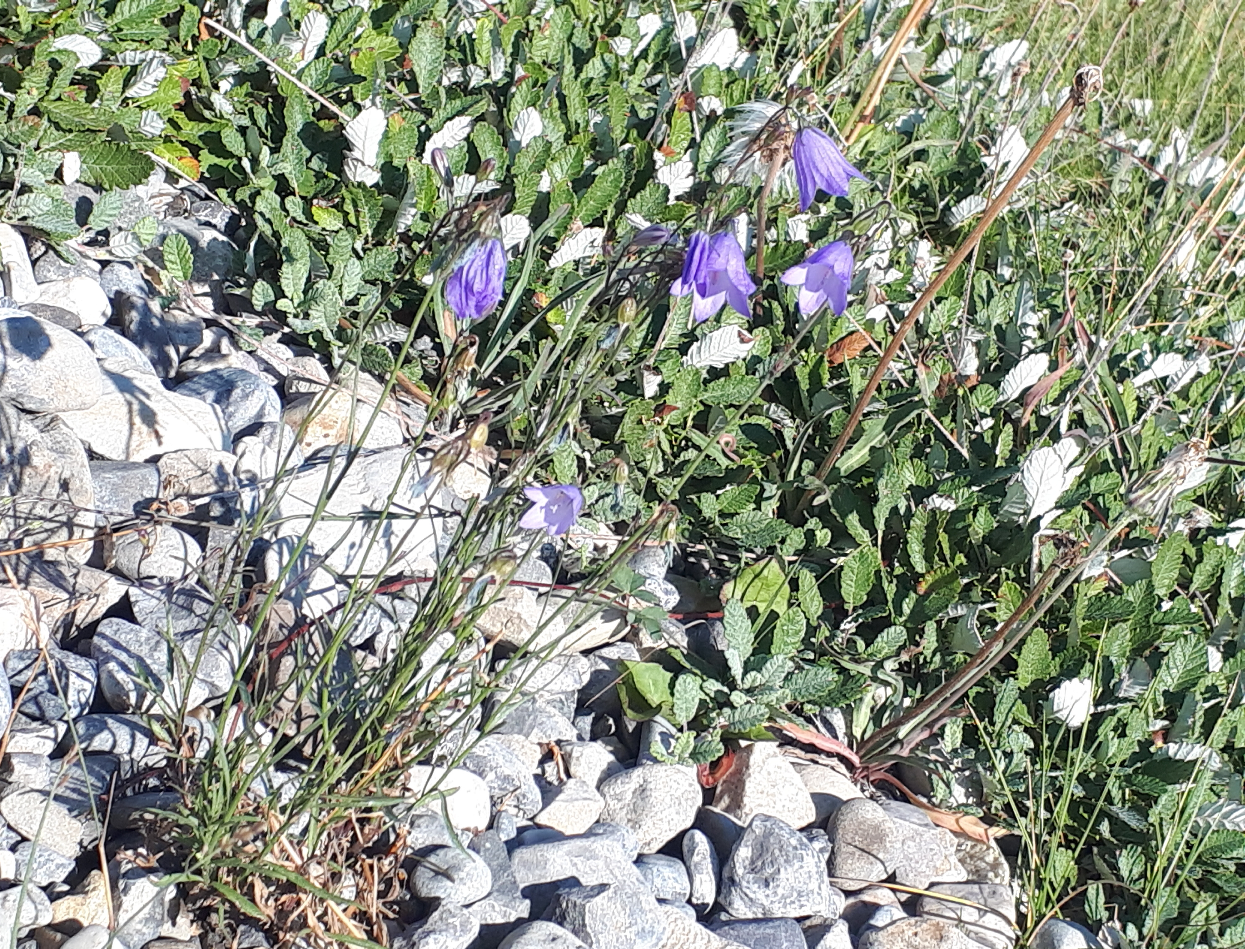20180902_180925.jpg