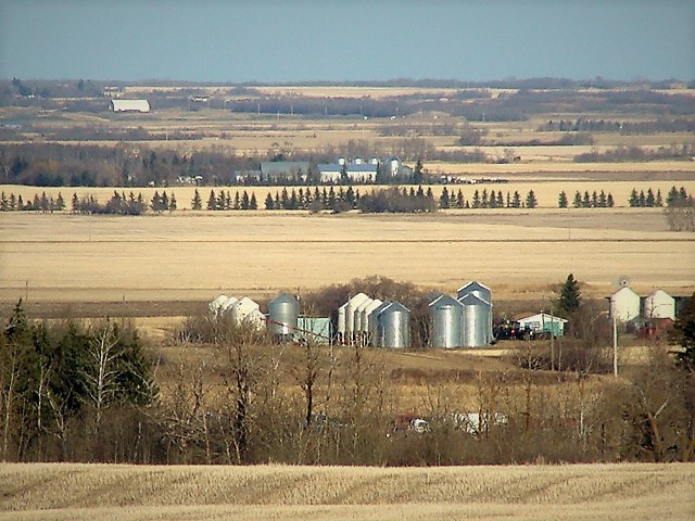 DSC02222 (2).JPG