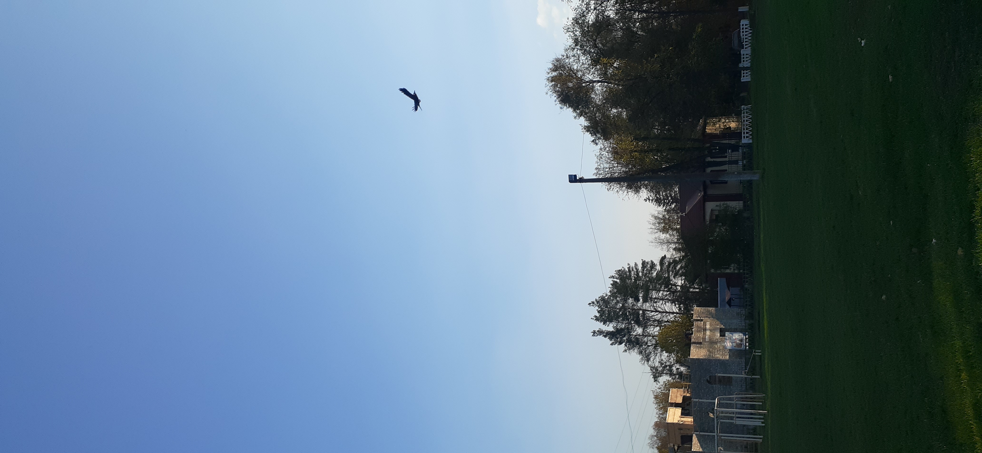 20201111_142437.jpg