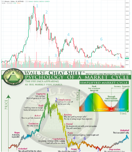 Market cycle.png