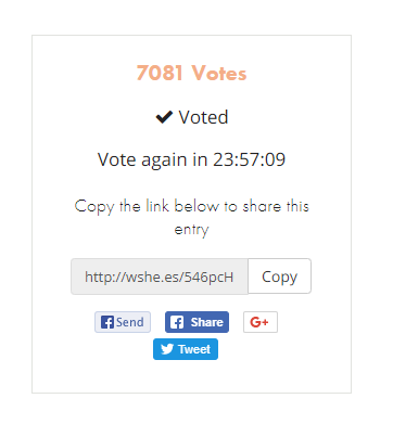 screenshot-contest.gonetcoins.com-2018.10.19-08-38-26.png
