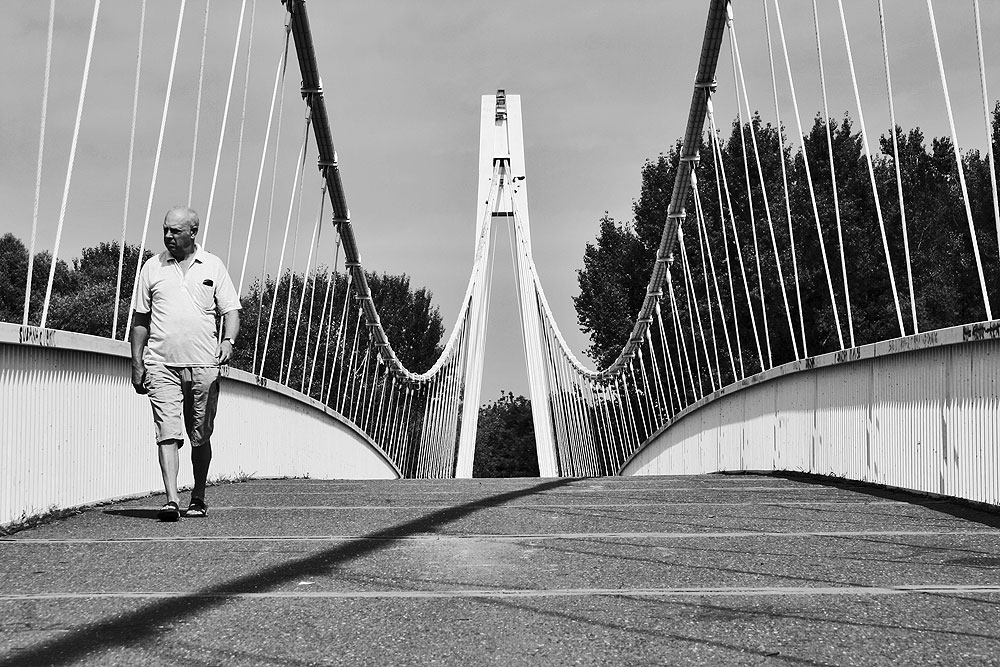 bridge.jpg