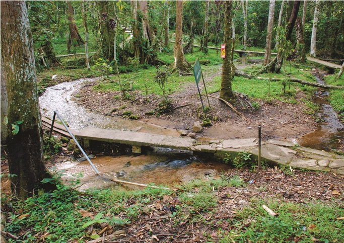 Ikogosi-Warm-Spring.jpg