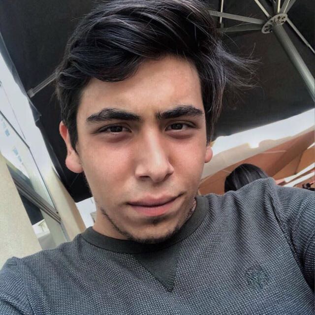 ulasdemir