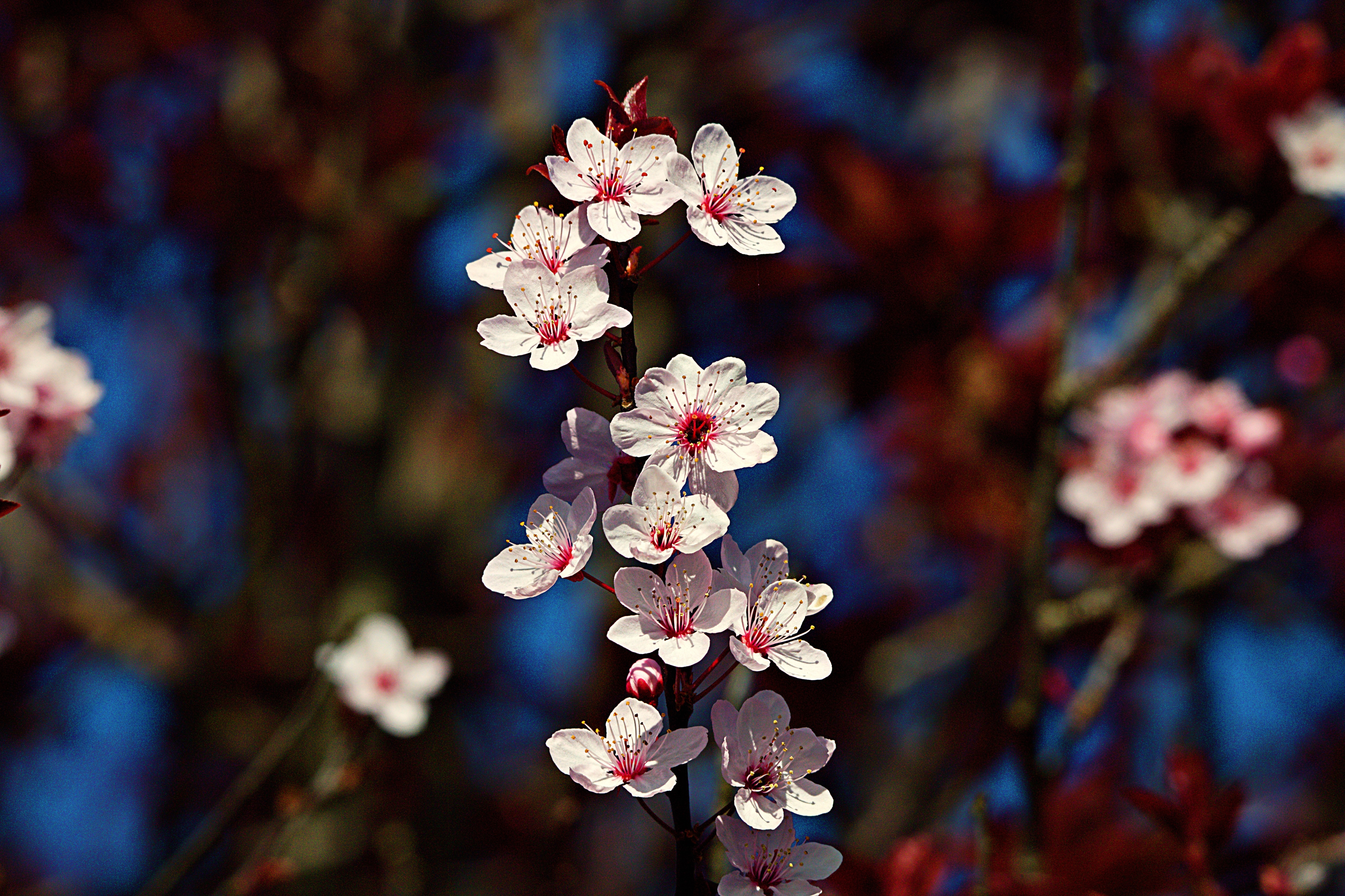 IMG_1394_InPixio (2).jpg