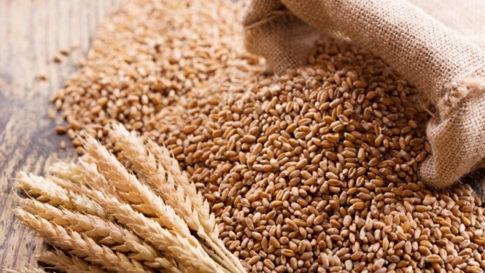 Wheat-1_.jpg