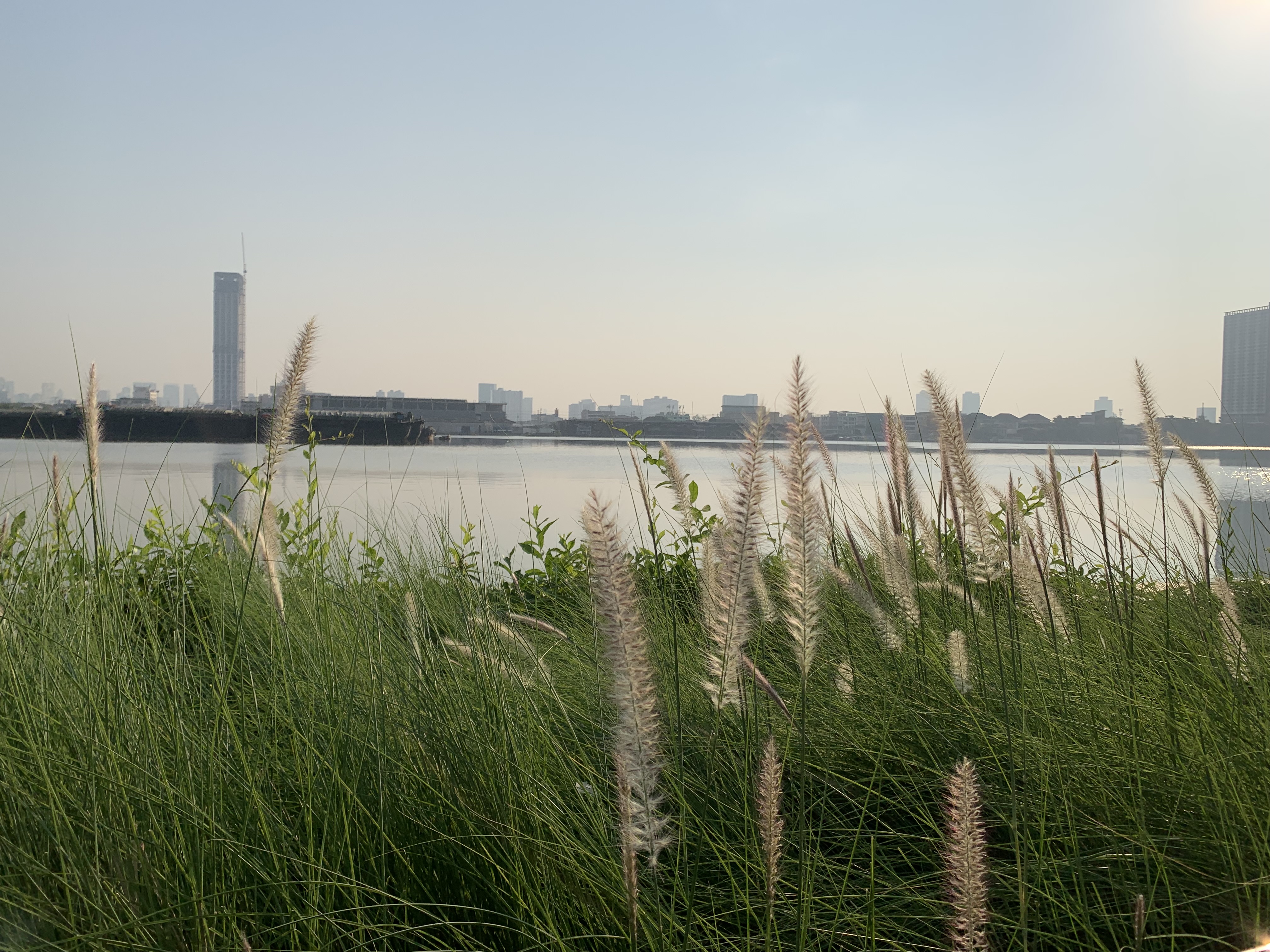 Chao Phraya River12.jpg