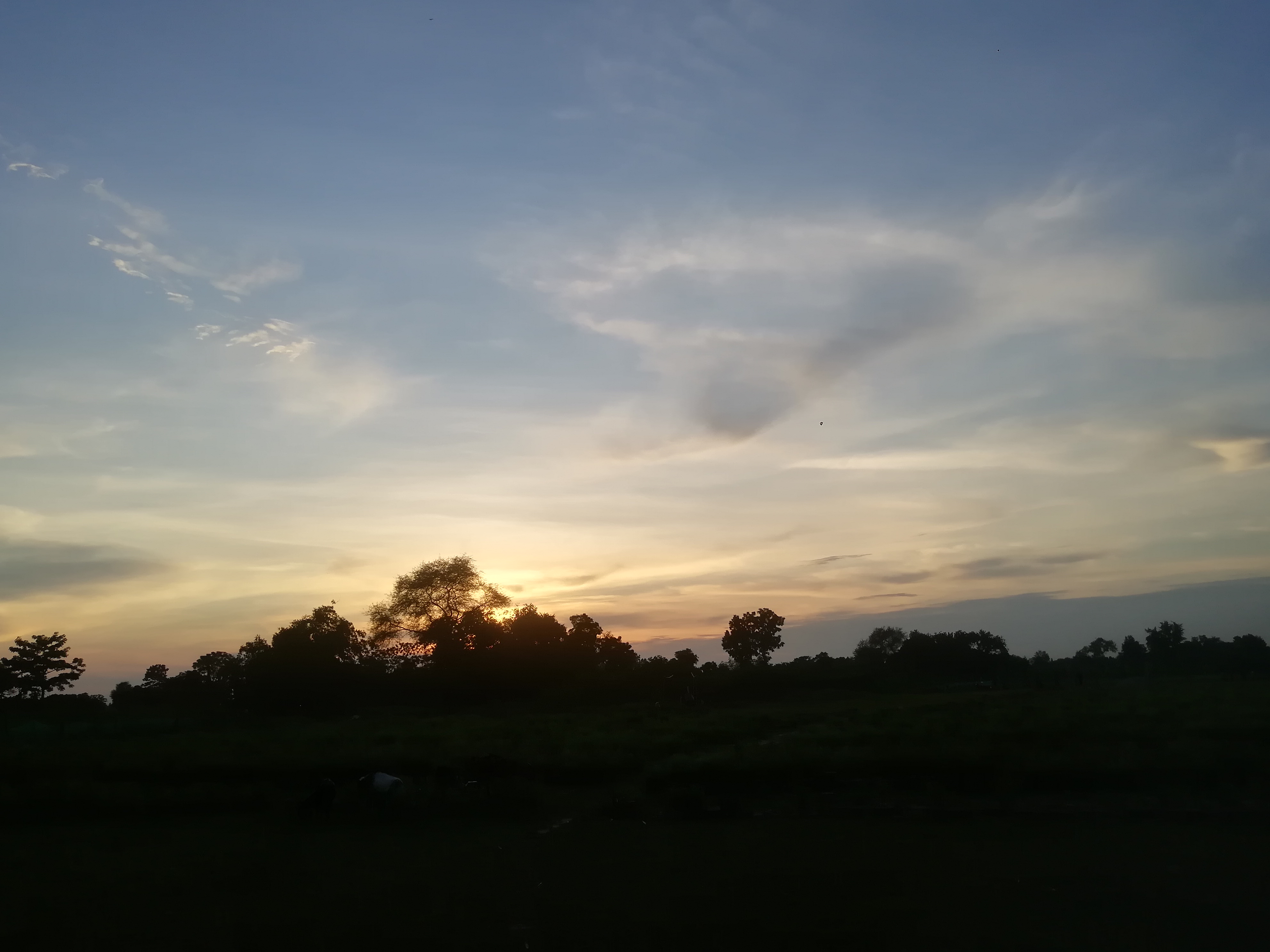 IMG_20210716_184100.jpg