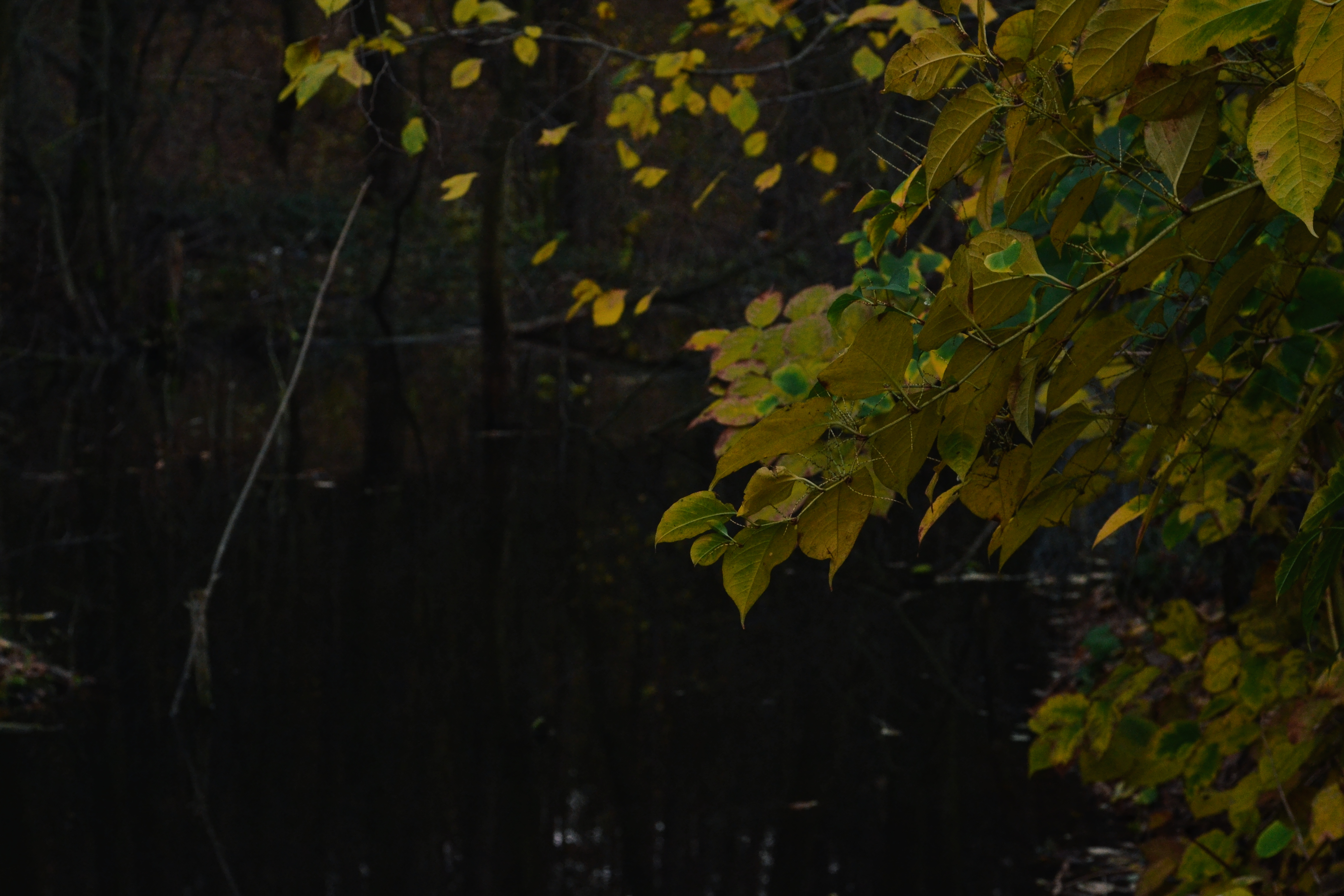 DSC_1725.jpg
