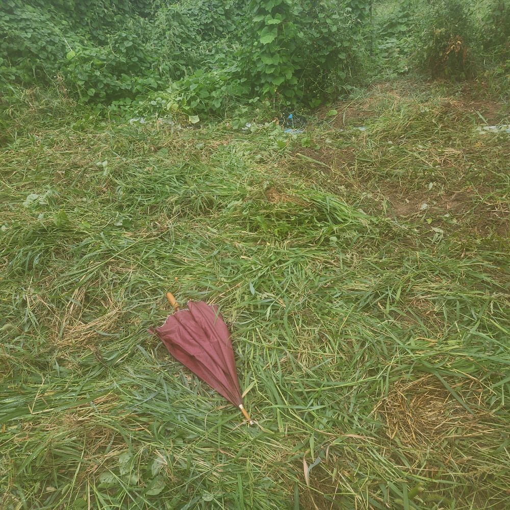 20260815_165411.jpg