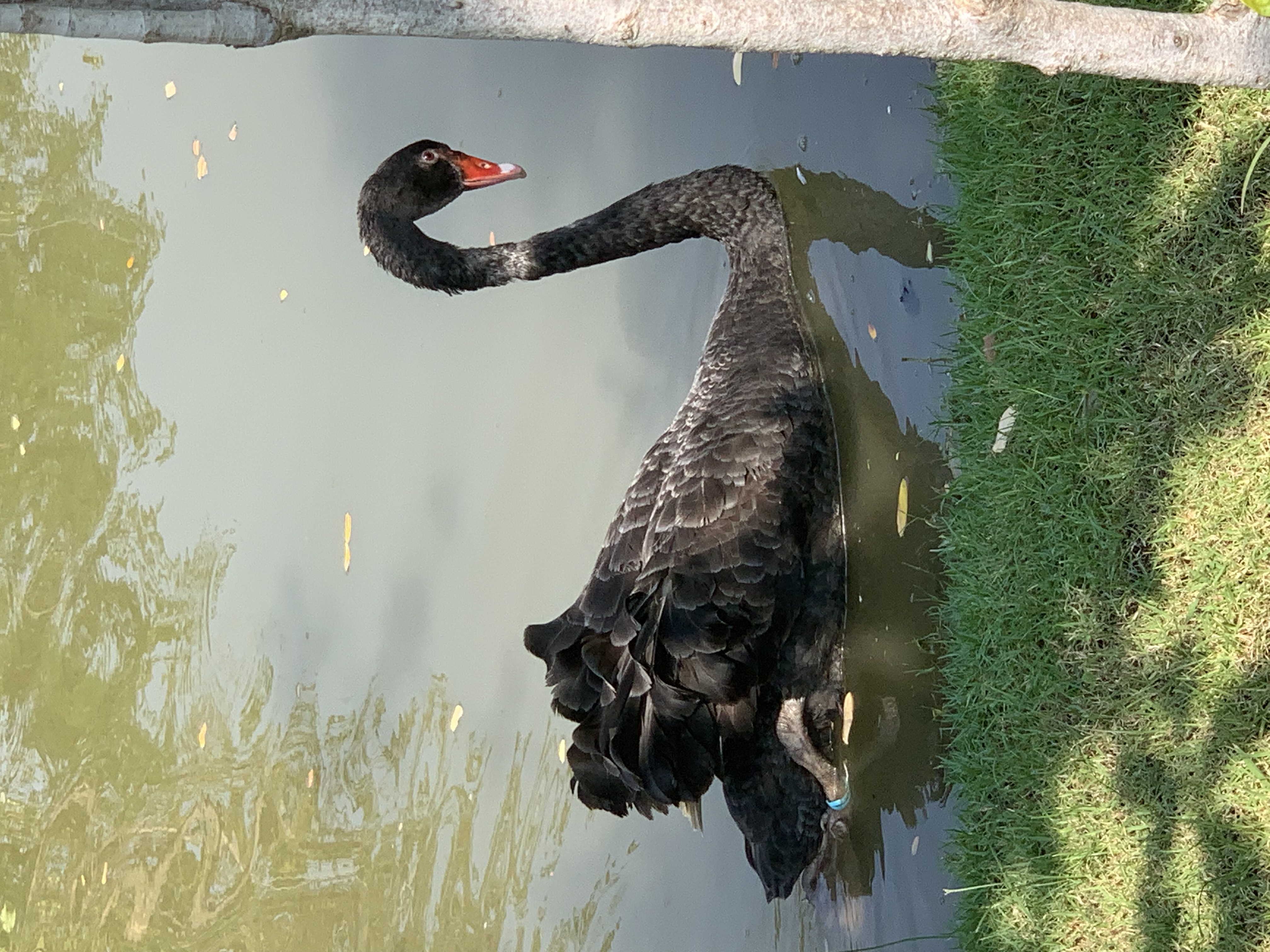 Queen Sirikit Park109.jpg