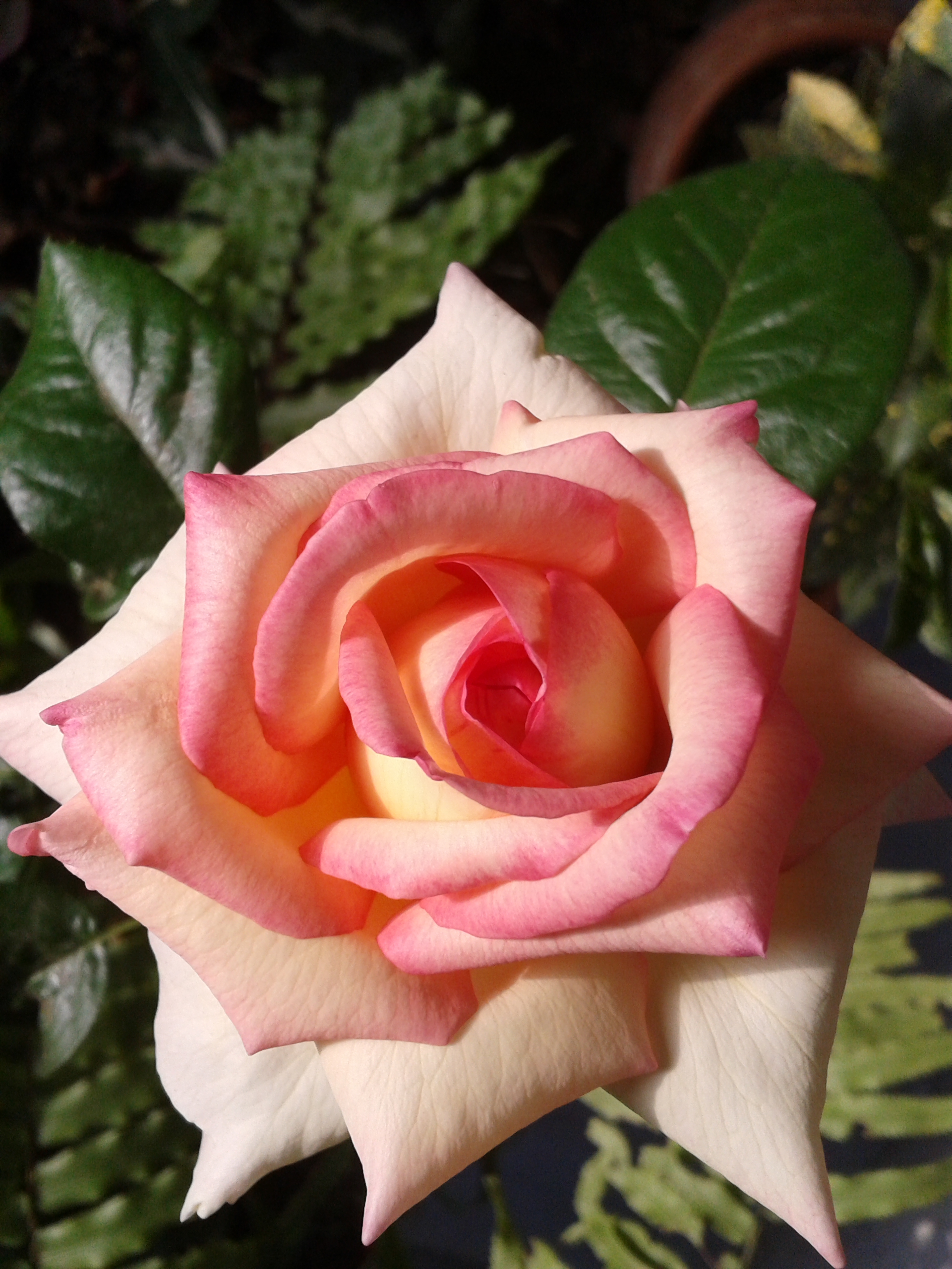 20150324_071558.jpg