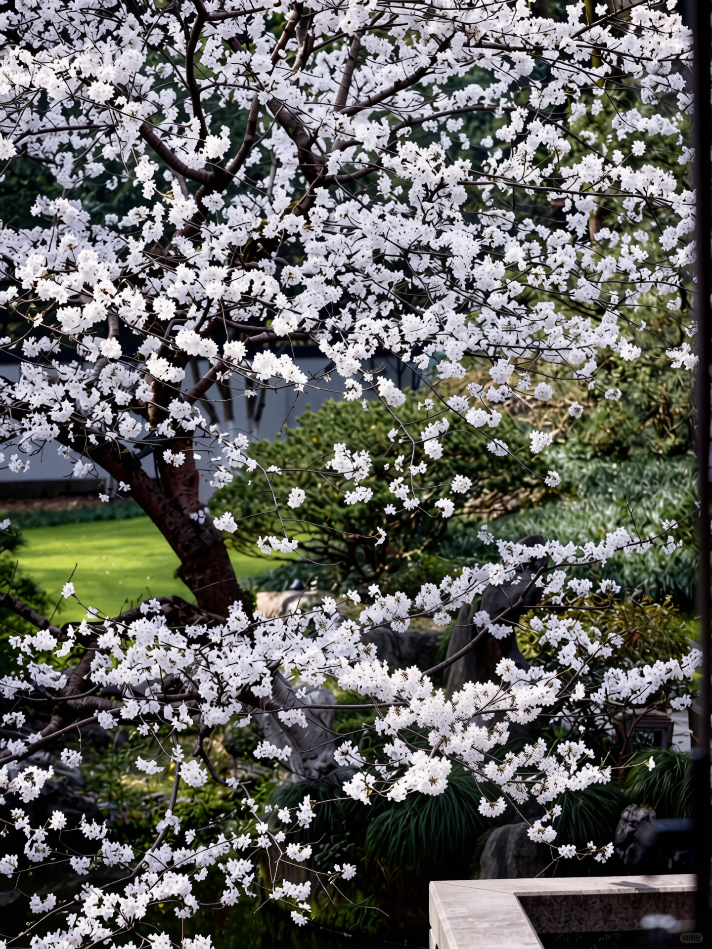 146.webp