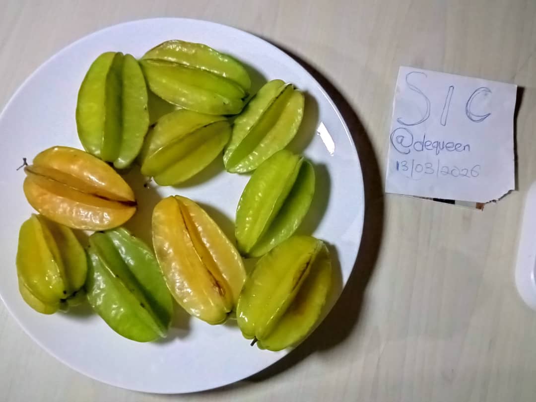 1000293641.jpg