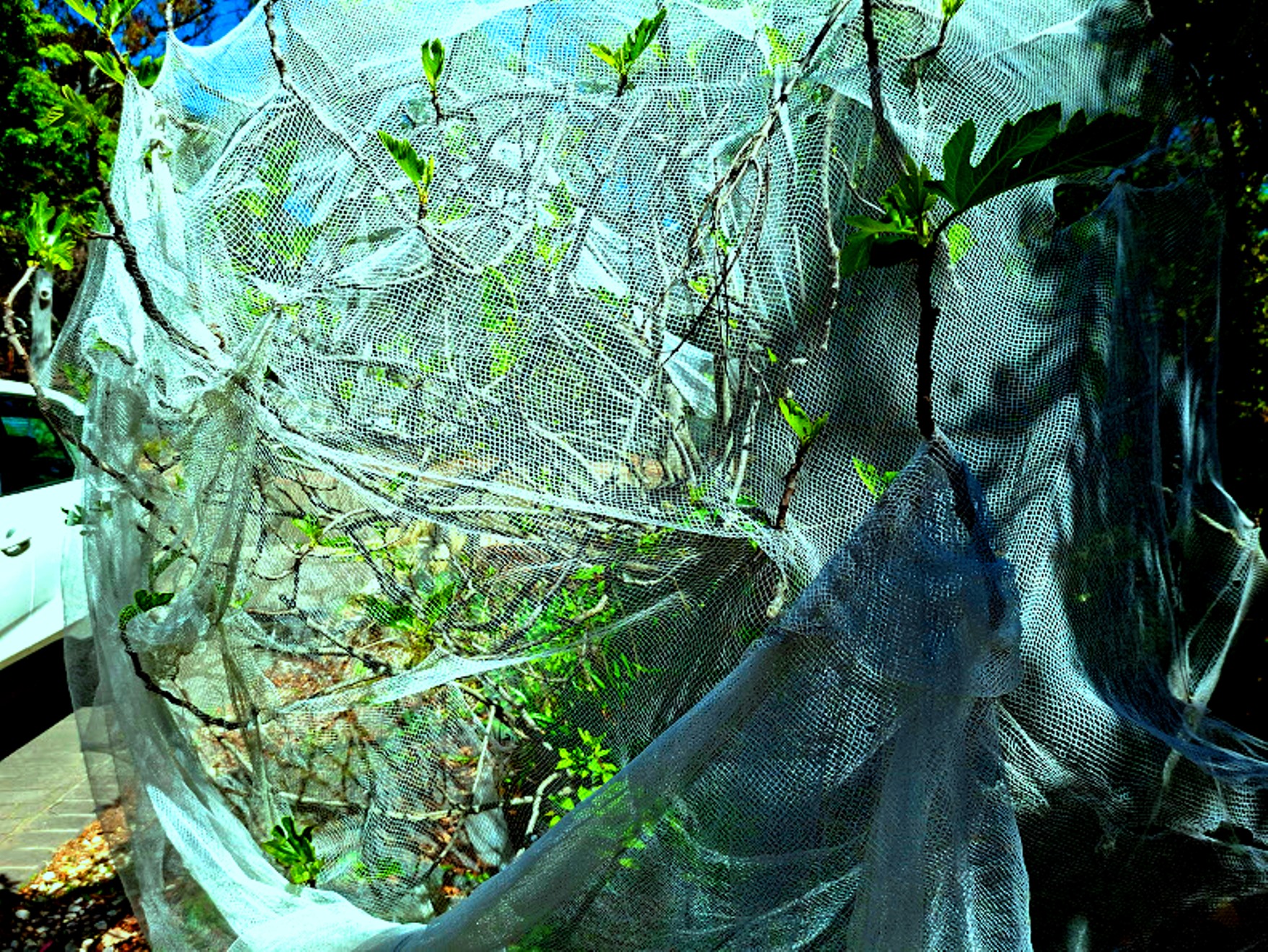20251015_122144.jpg