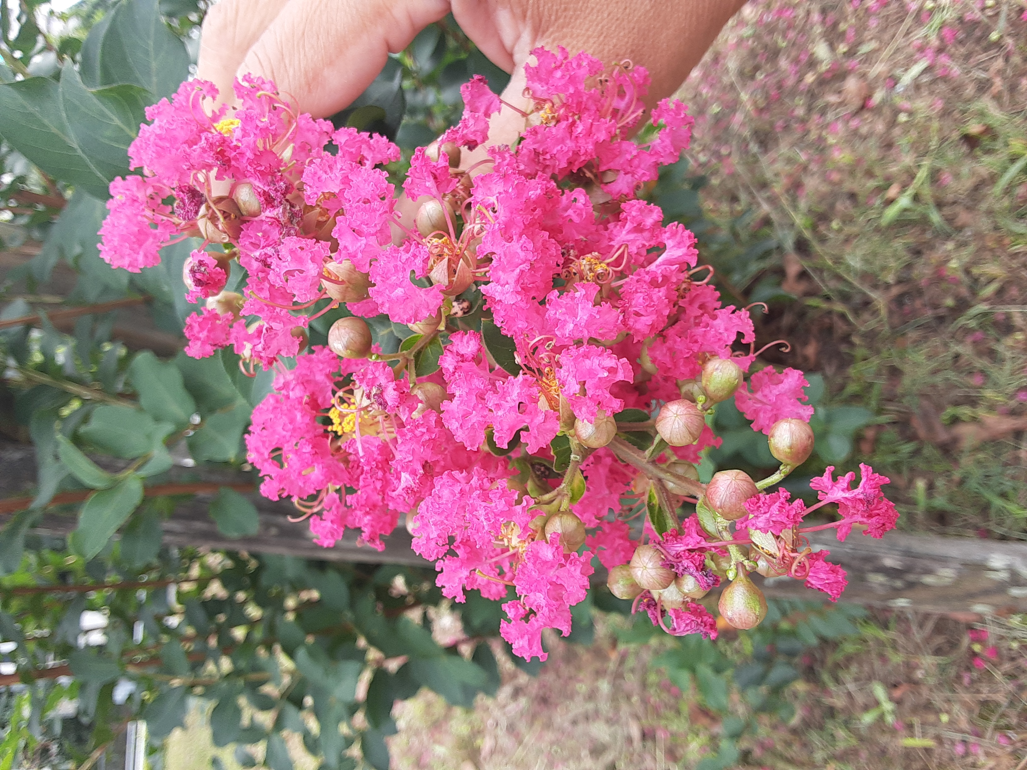 20230910_122337.jpg