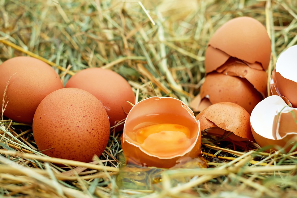 huevos.jpg