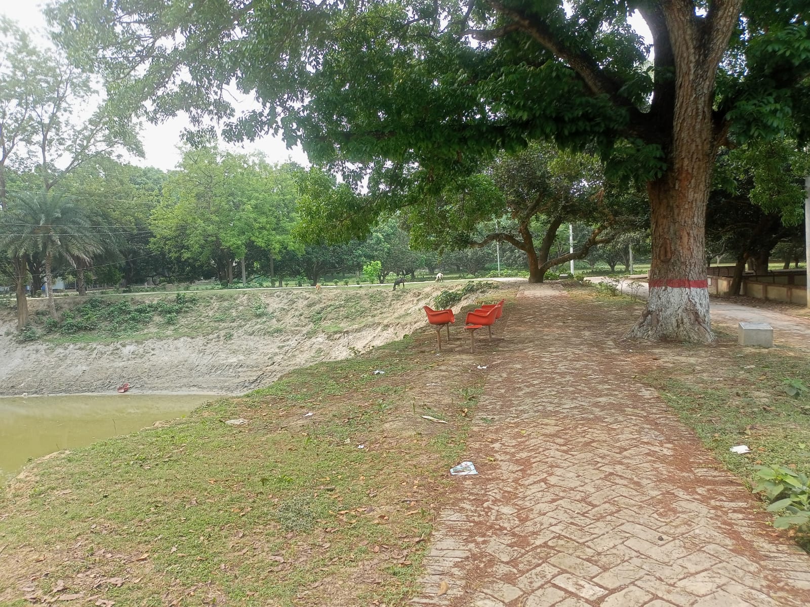 IMG-20260416-WA0000.jpg