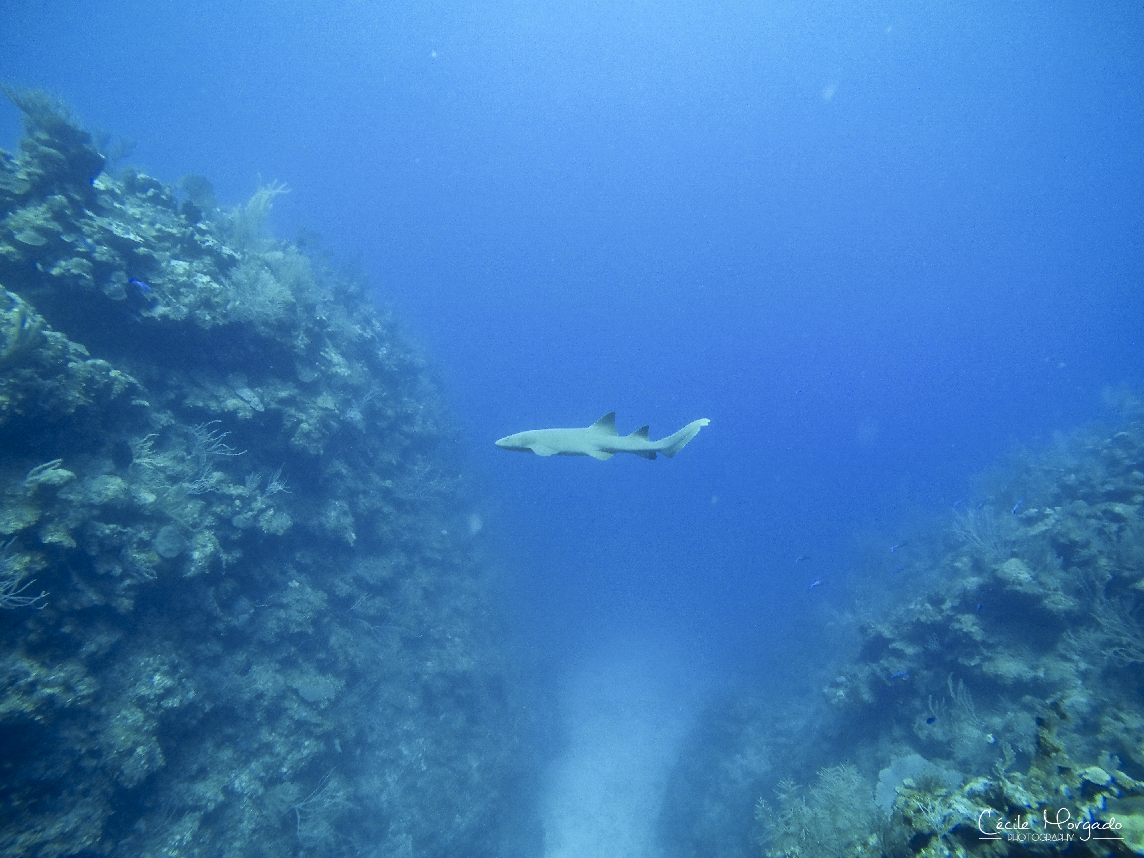 GOPR1175-58.jpg