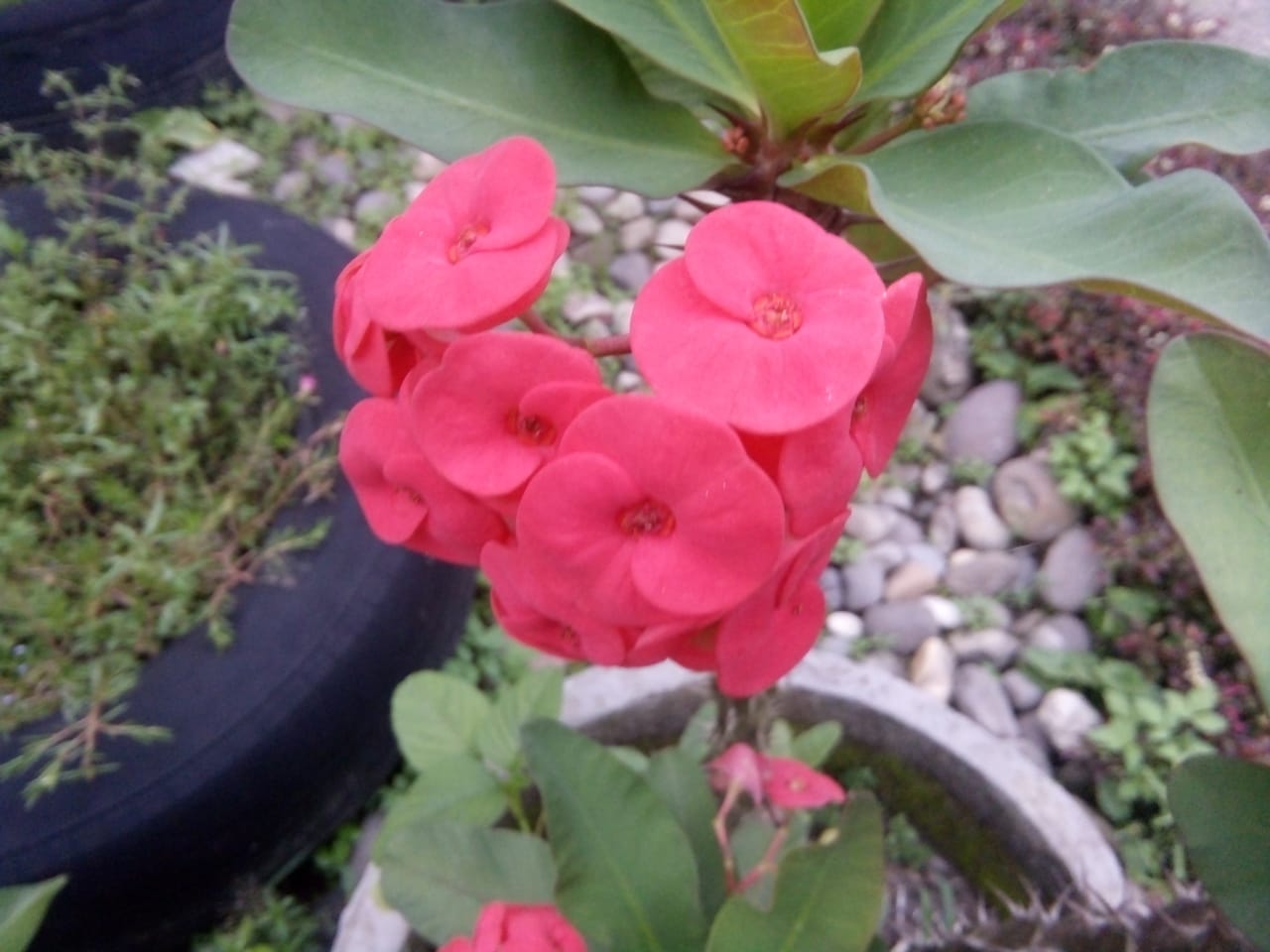 IMG-20210406-WA0011.jpg