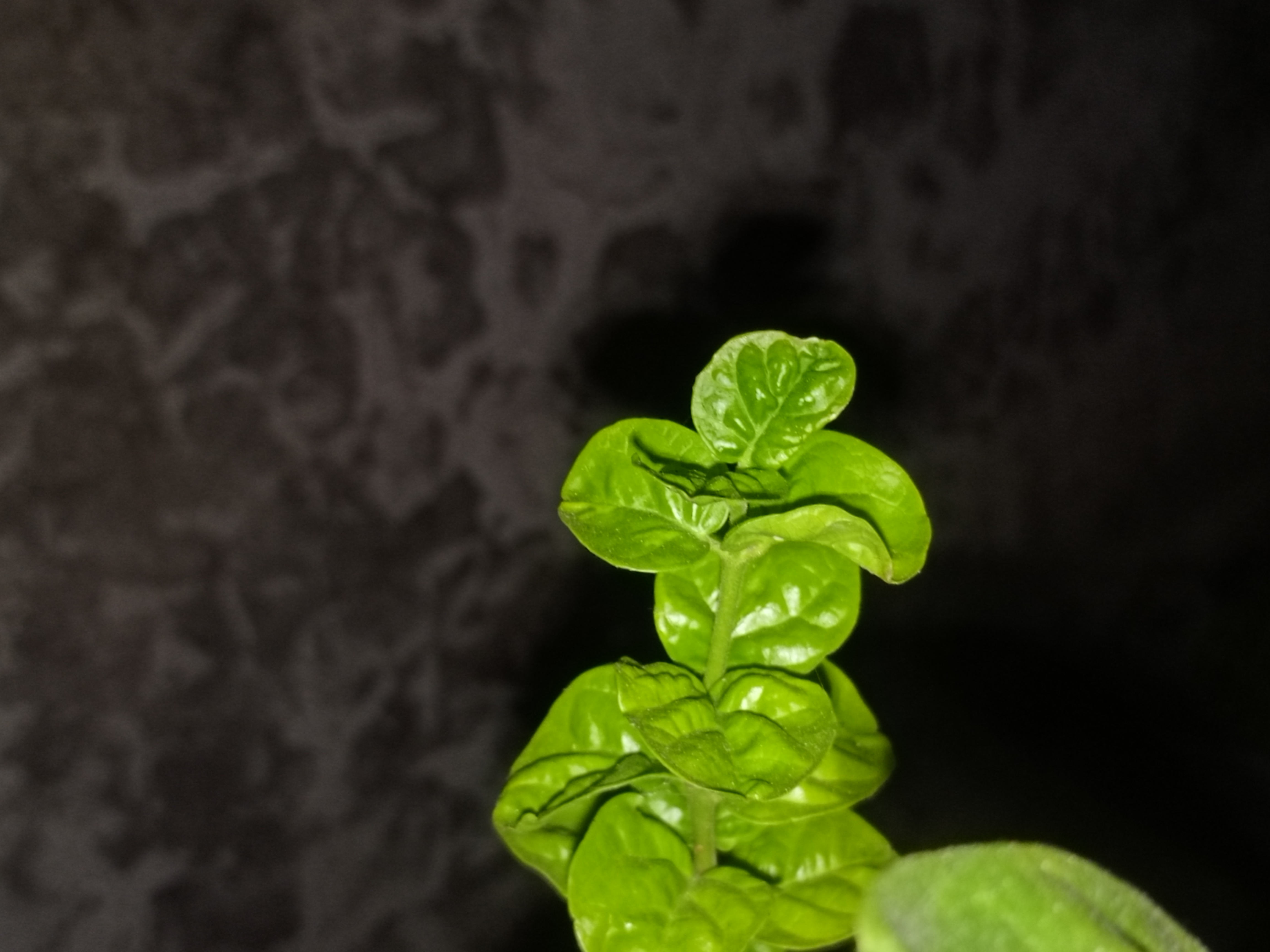 1000327115.jpg