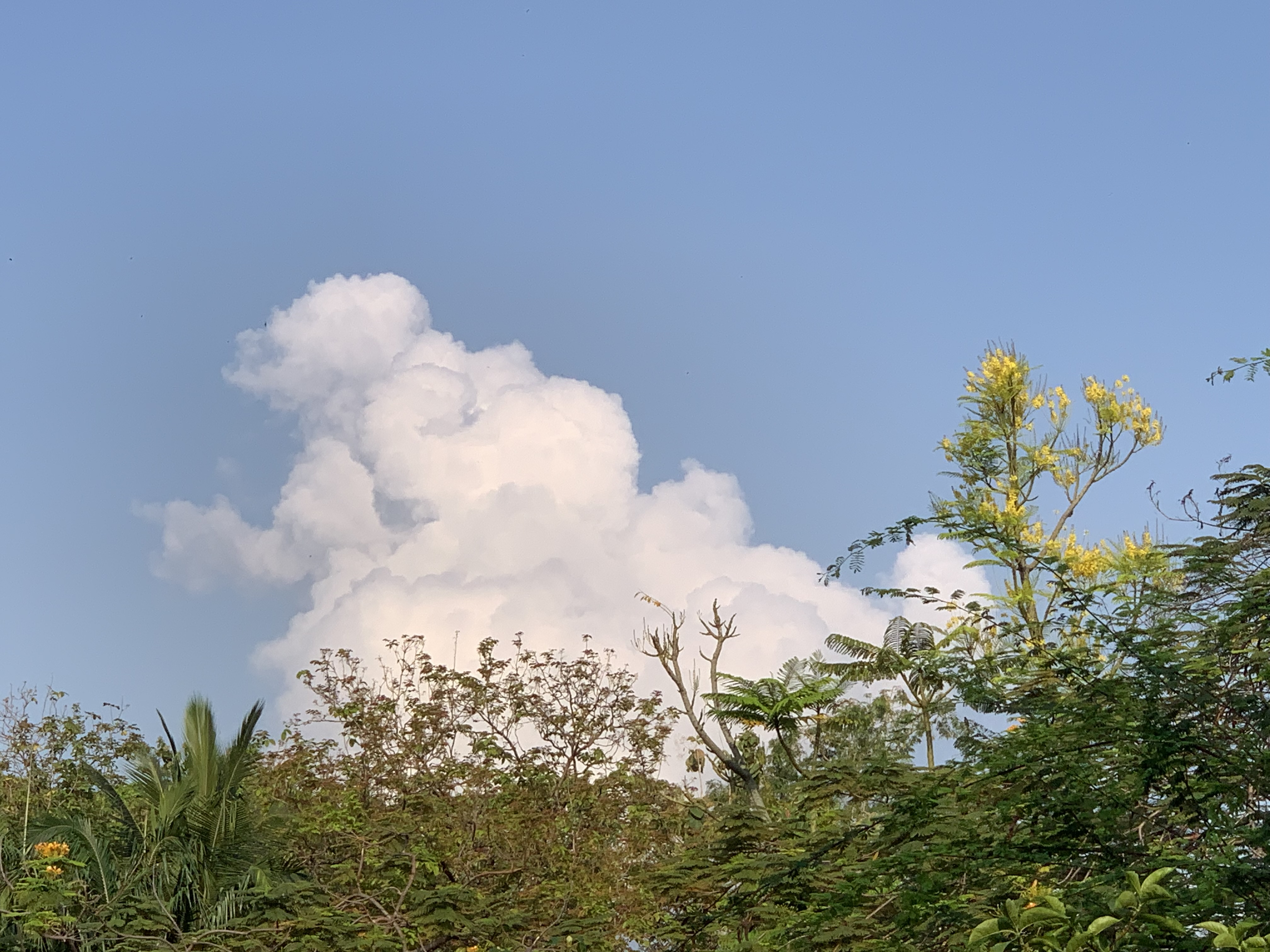 nature711.jpg