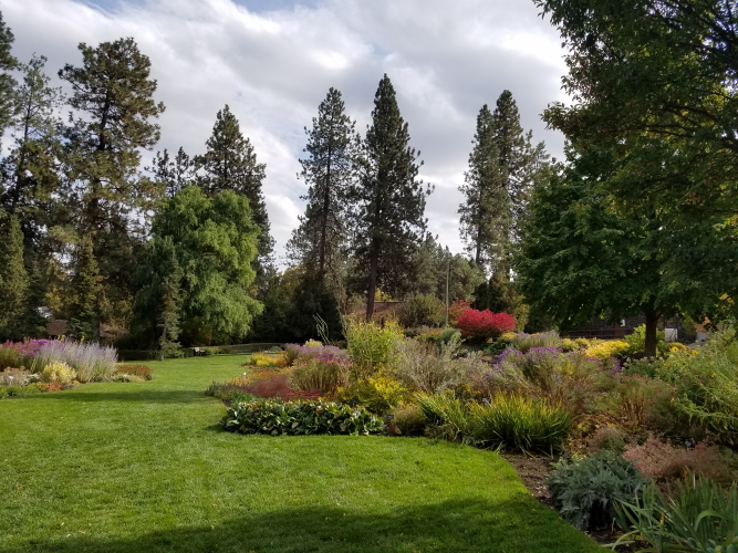 20181001_140552_1.jpg